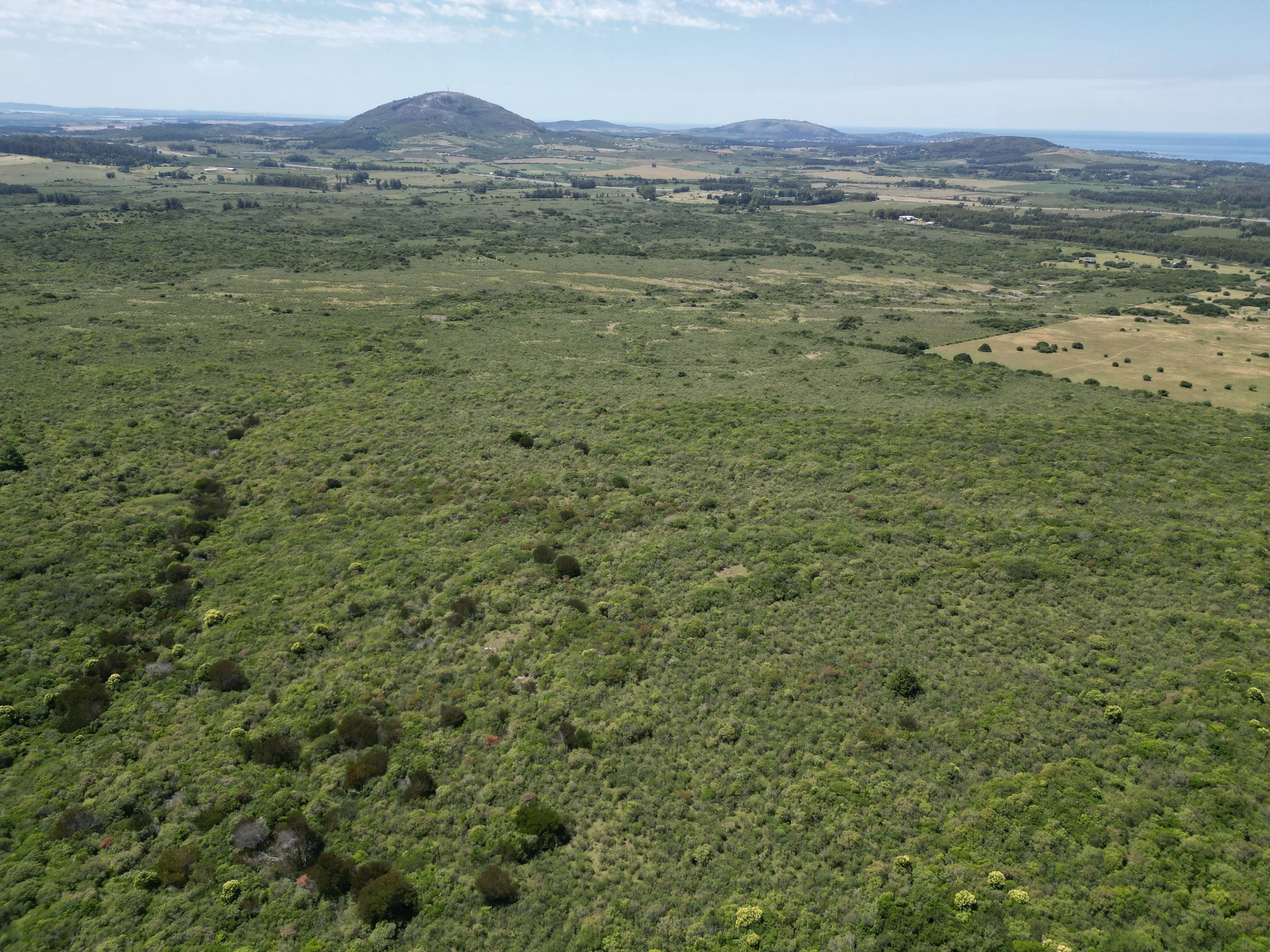 Chacras_Anima_Carrousel (9).JPG