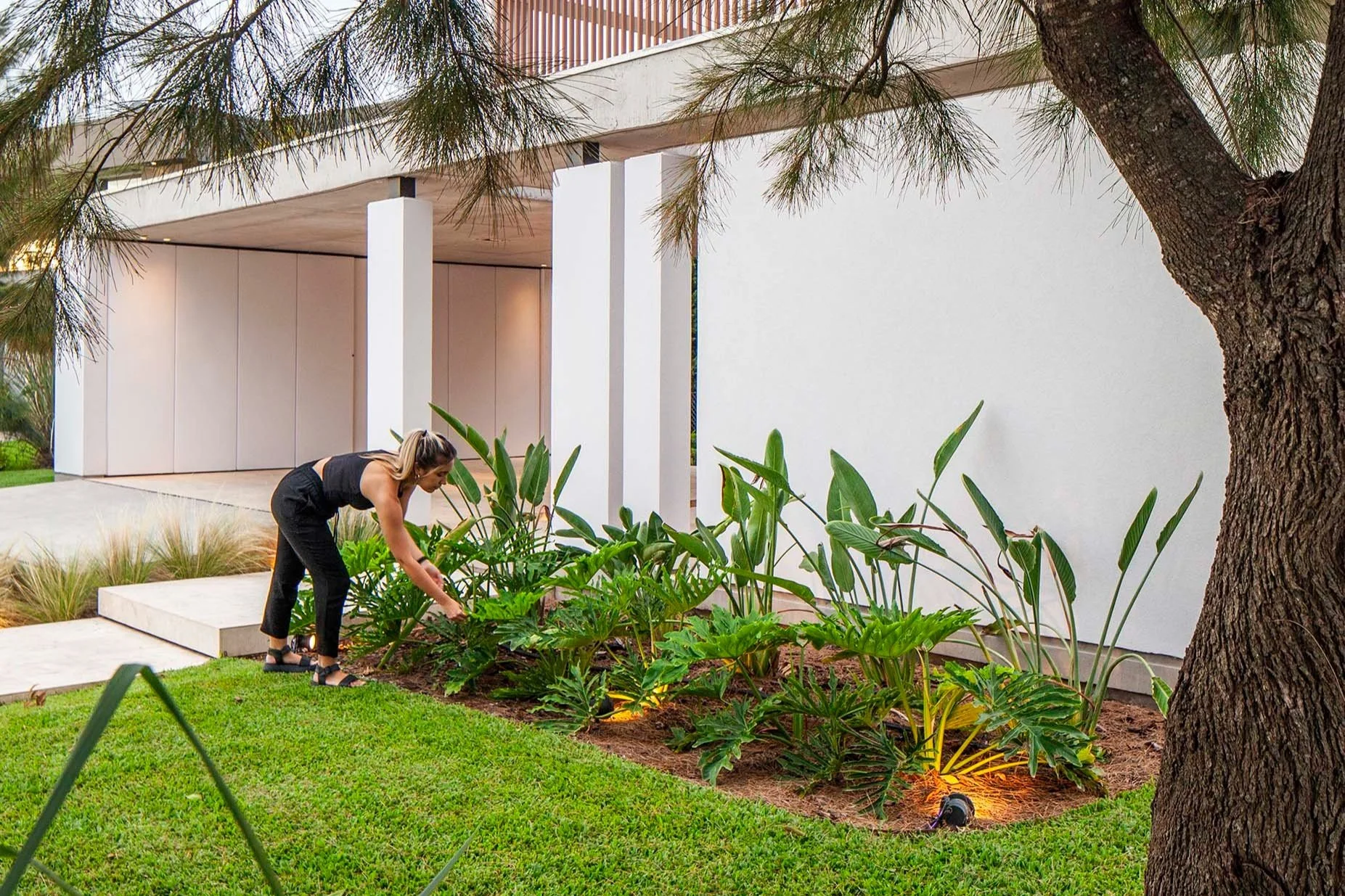 Mujer arreglando plantas en un jardín en el exterior de una casa moderna con paredes blancas y estructura de concreto.