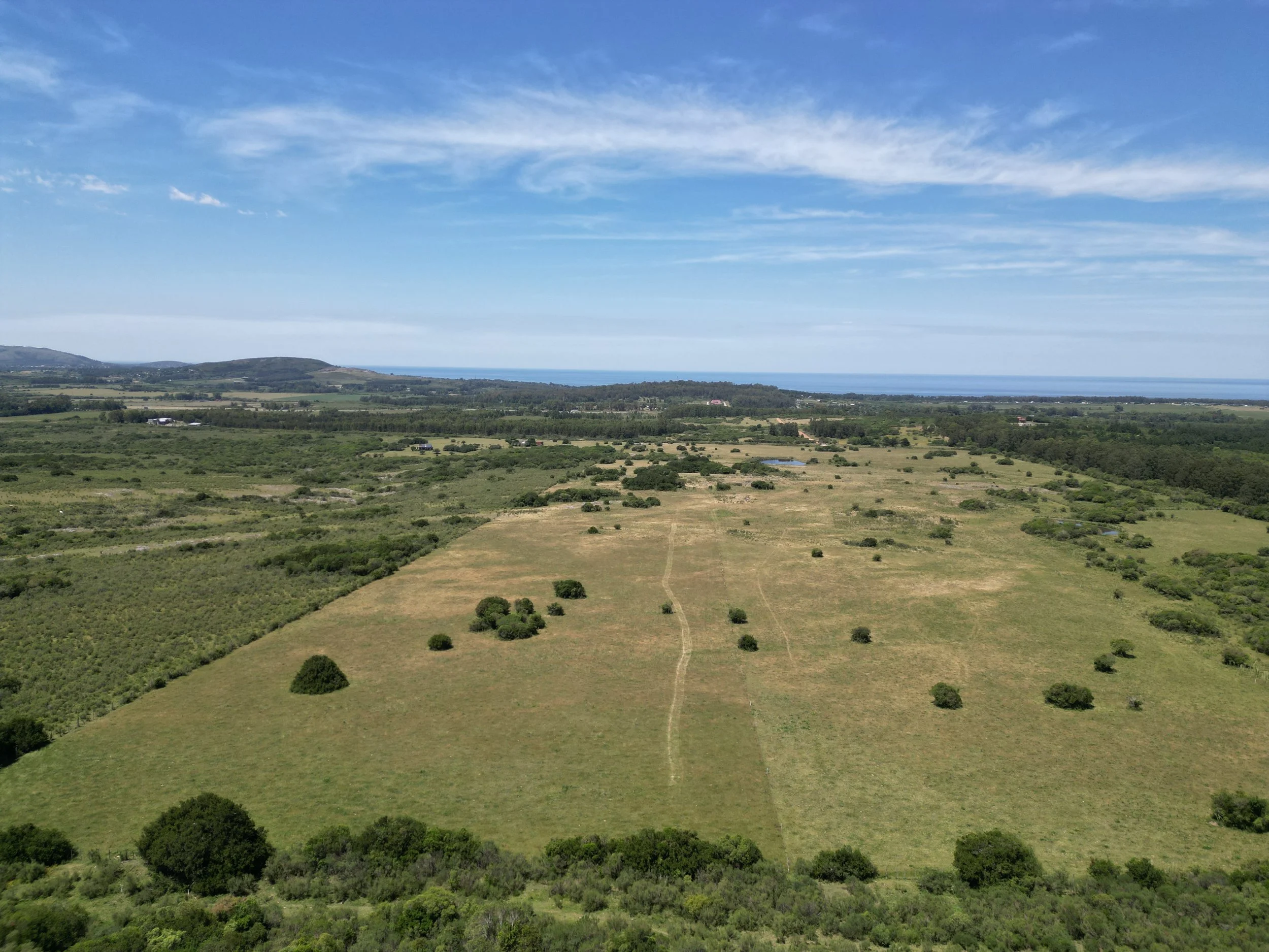 Chacras_Anima_Carrousel (1).JPG