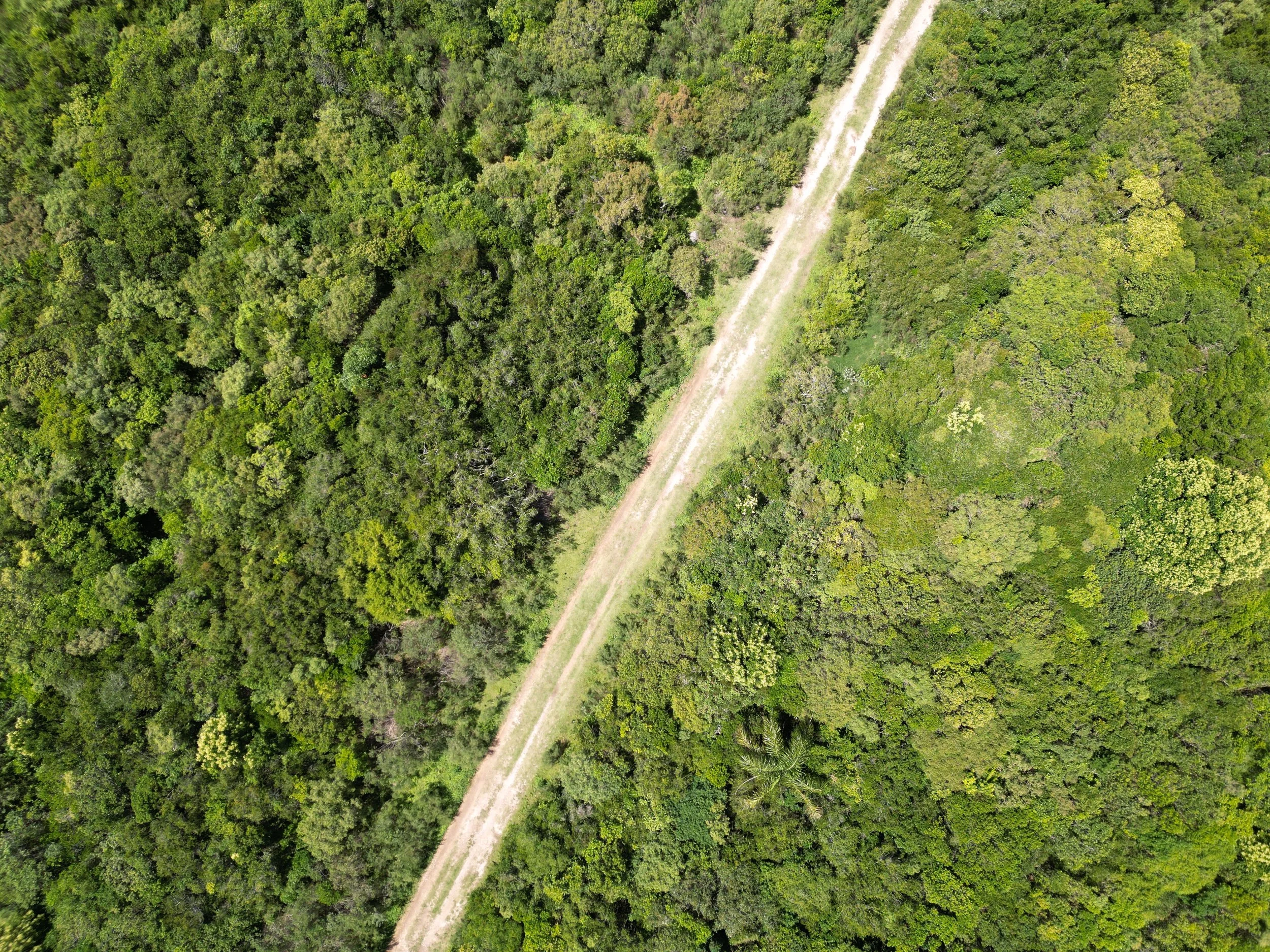 Chacras_Anima_Carrousel (10).JPG