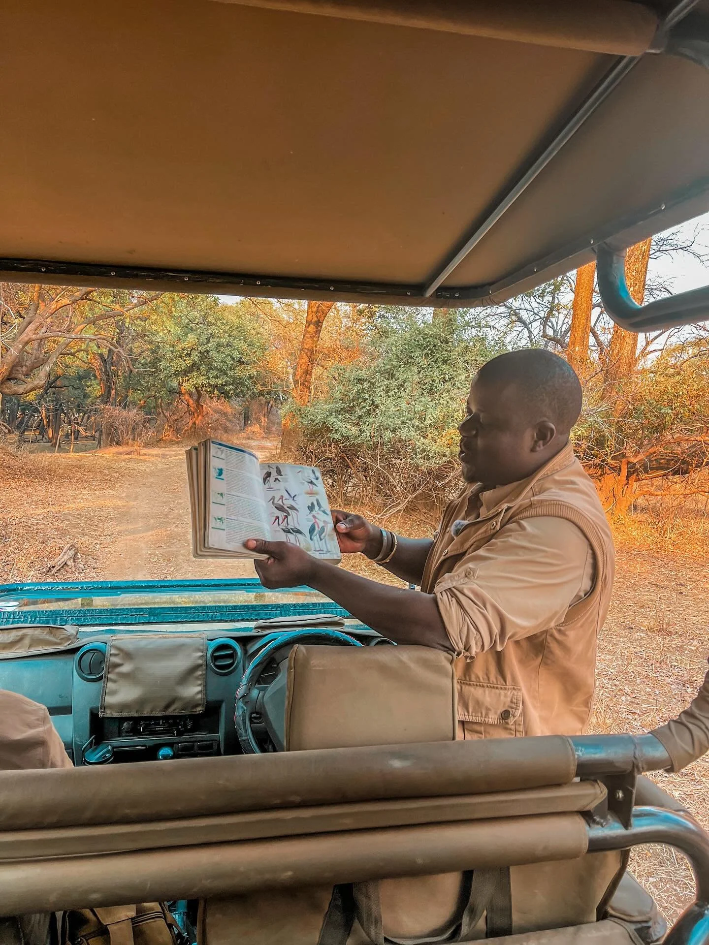 Quick lesson about saddle-billed storks on this morning&rsquo;s drive with @victorbanda88

#painteddogslagoon #zambiasafari #travelzambia