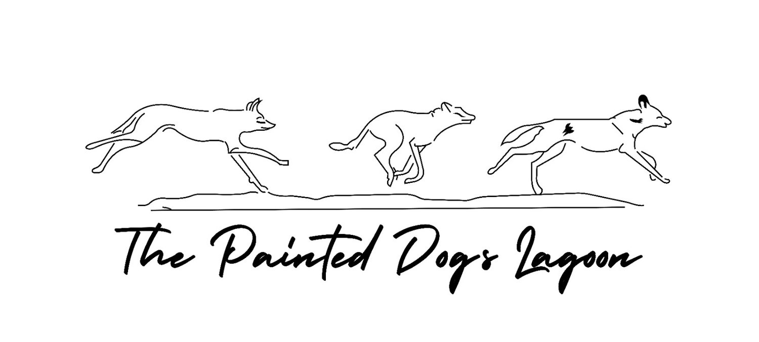 The Painted Dog&#39;s Lagoon