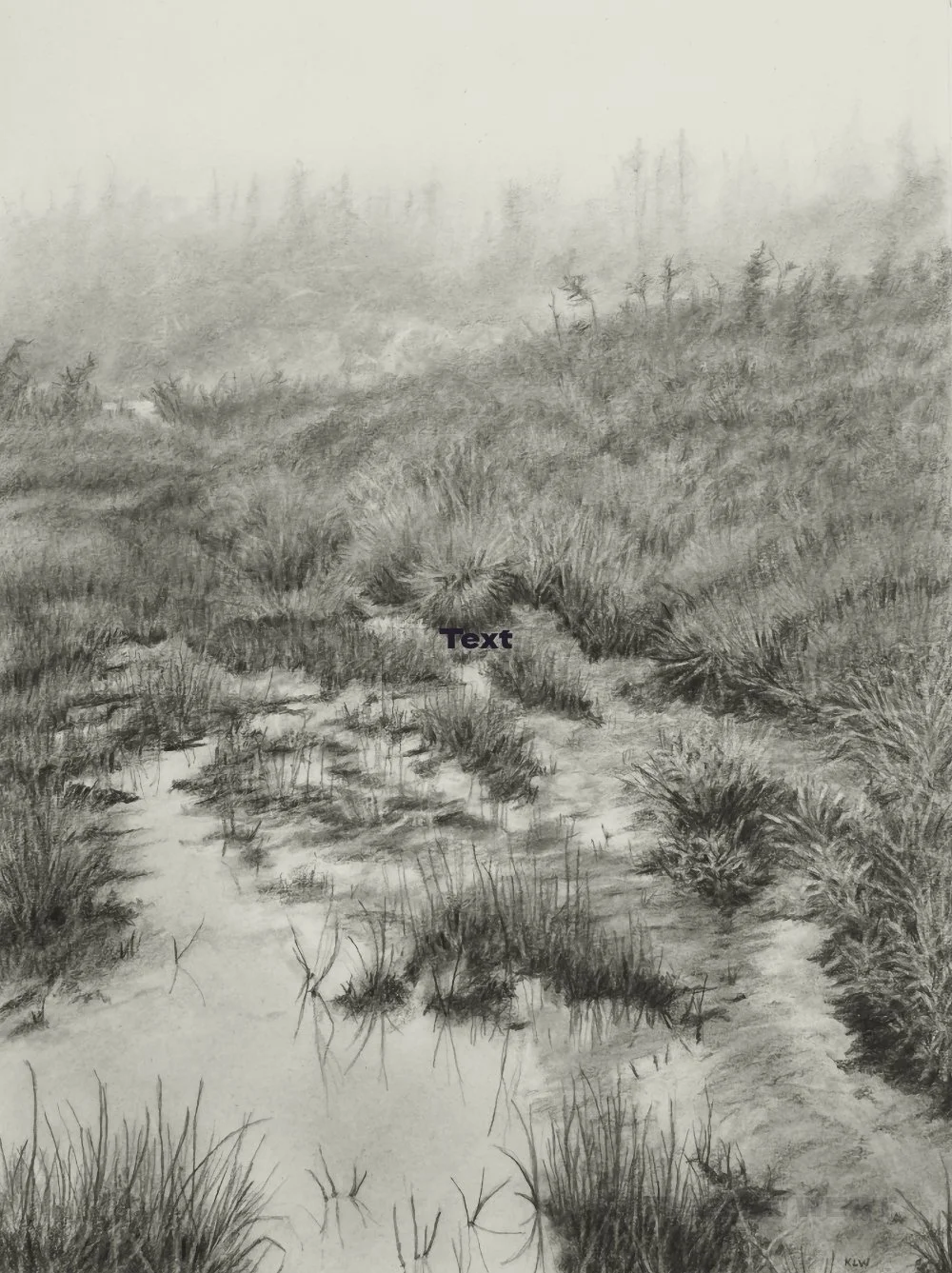 FOG 12.25" x 9.25" image size, 13.5 " x 16.5" with frame