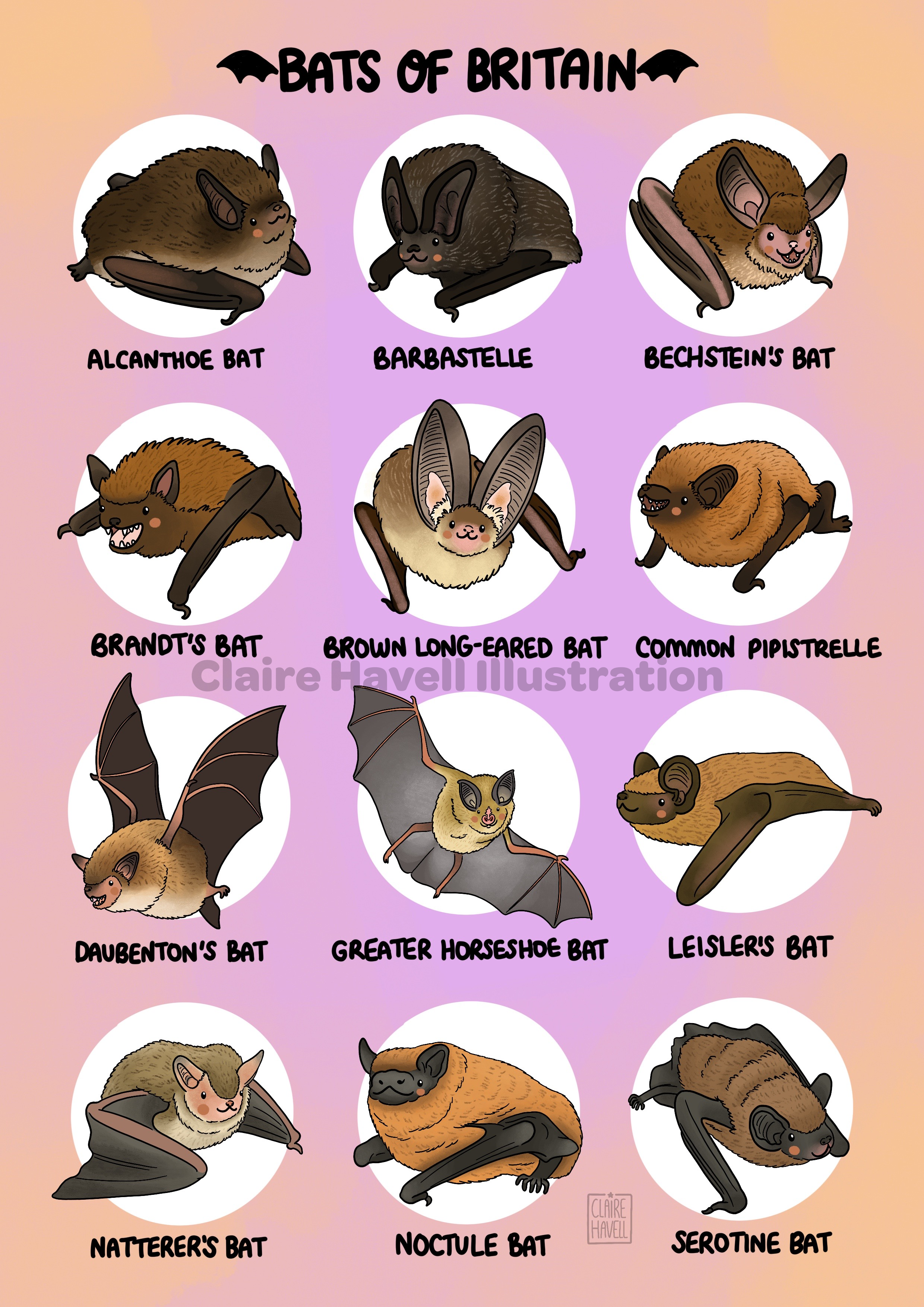 Bats of Britain art print (Batty Blossoms 2023)