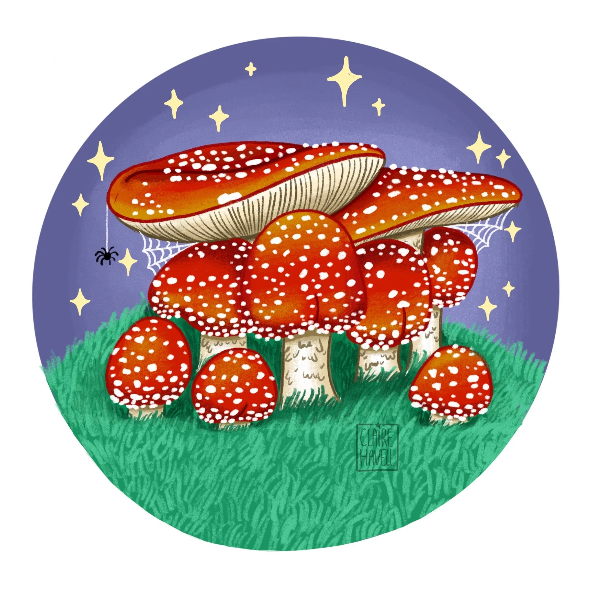 Toadstools.JPG