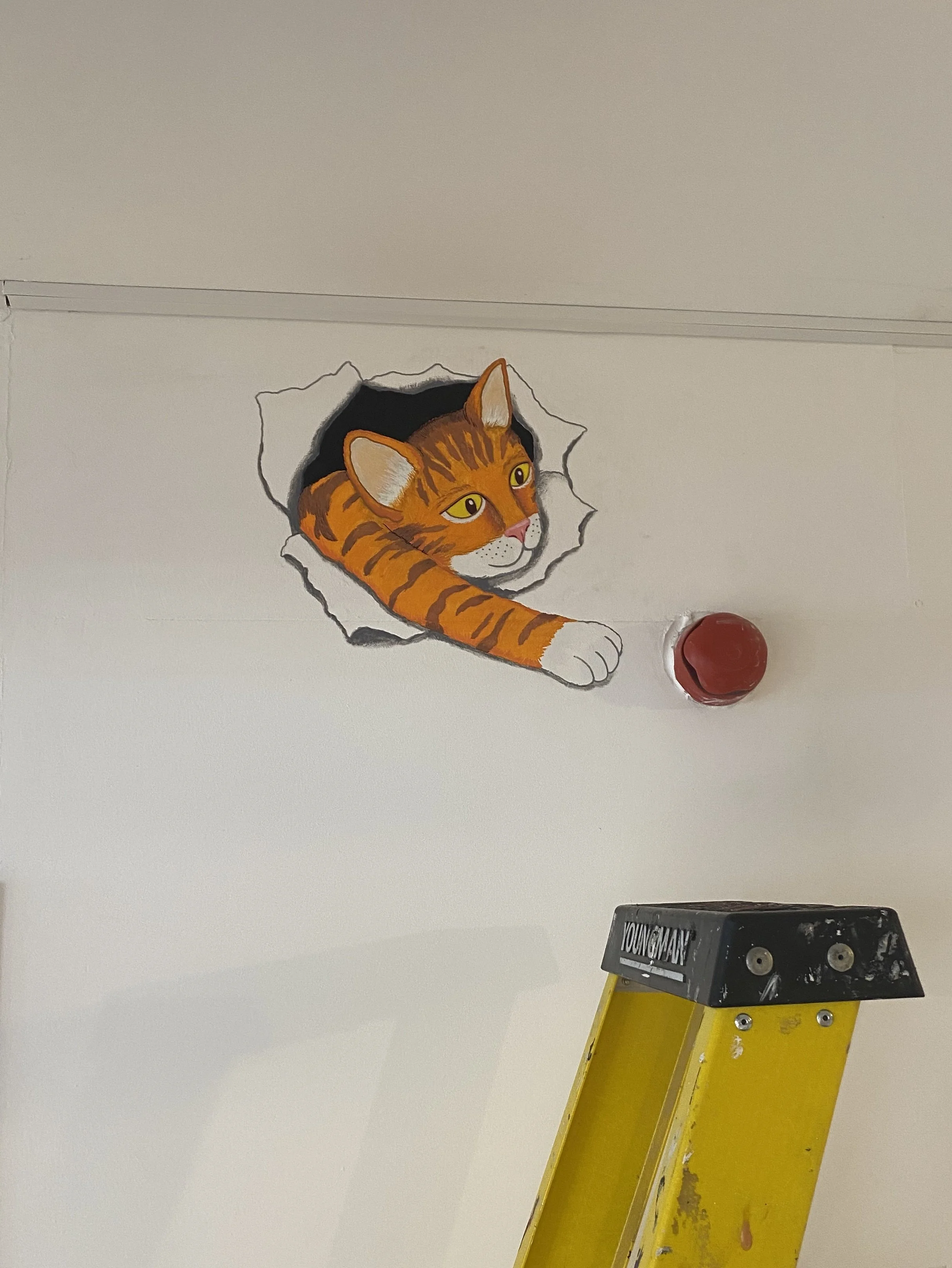 Cat illusion mural (Paradox Place House of Illusions 2022)