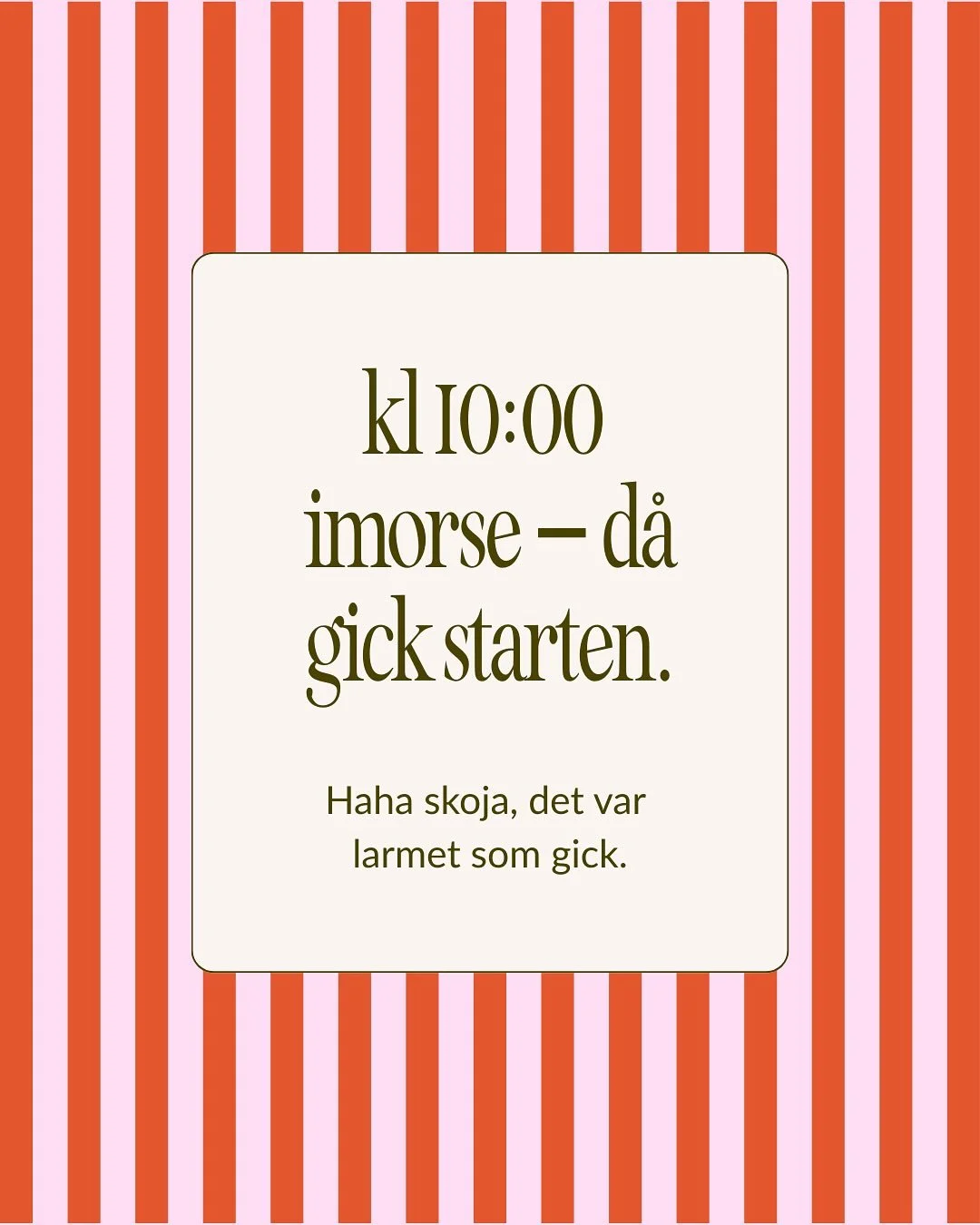 N&auml;r man bara vet vilken tallrik som &auml;r f&ouml;r pepparkakor 👉