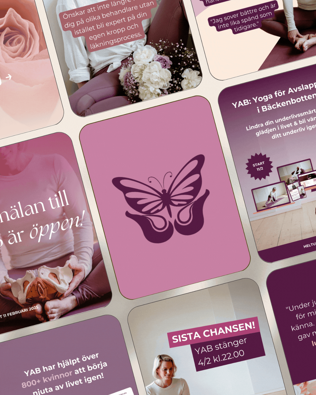 Bilder portfolio (1).gif