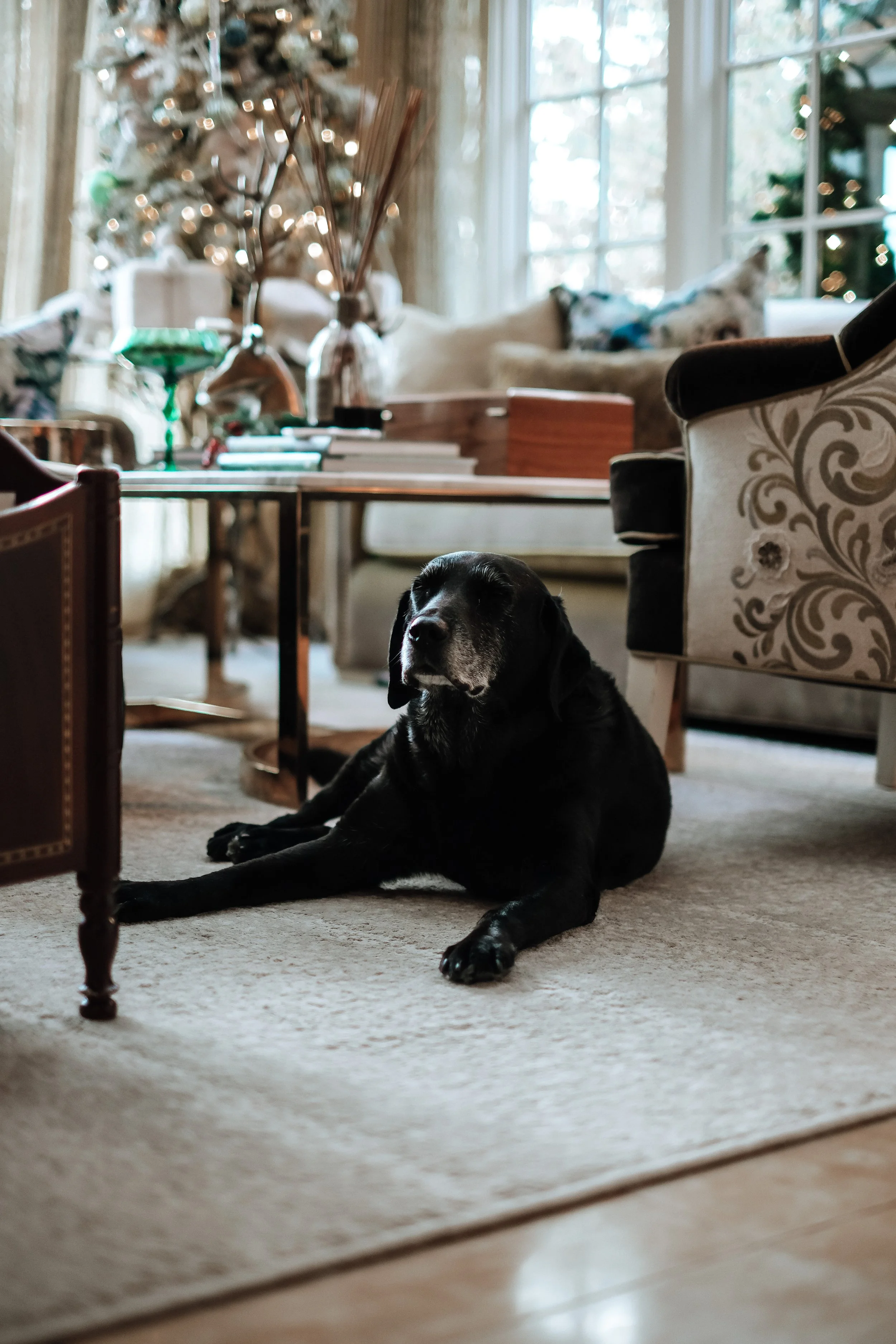 McArthur Estate_Edit_112025-092.jpg