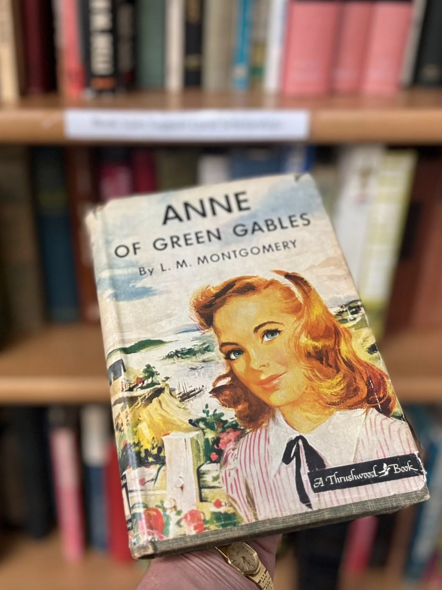 Hilltop Consignment Memeswebsitedesign (49).jpg