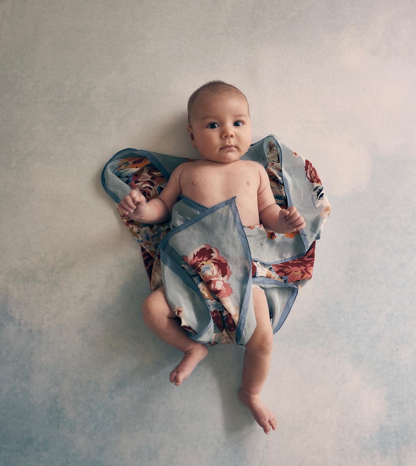.. 🦋 baby Lily May &hellip; adorned in grandmothers silk scarf &hellip;  1st in the series of many years ahead &hellip; 💙💙💙💙 @clairenirizarry  @andrejirizarry