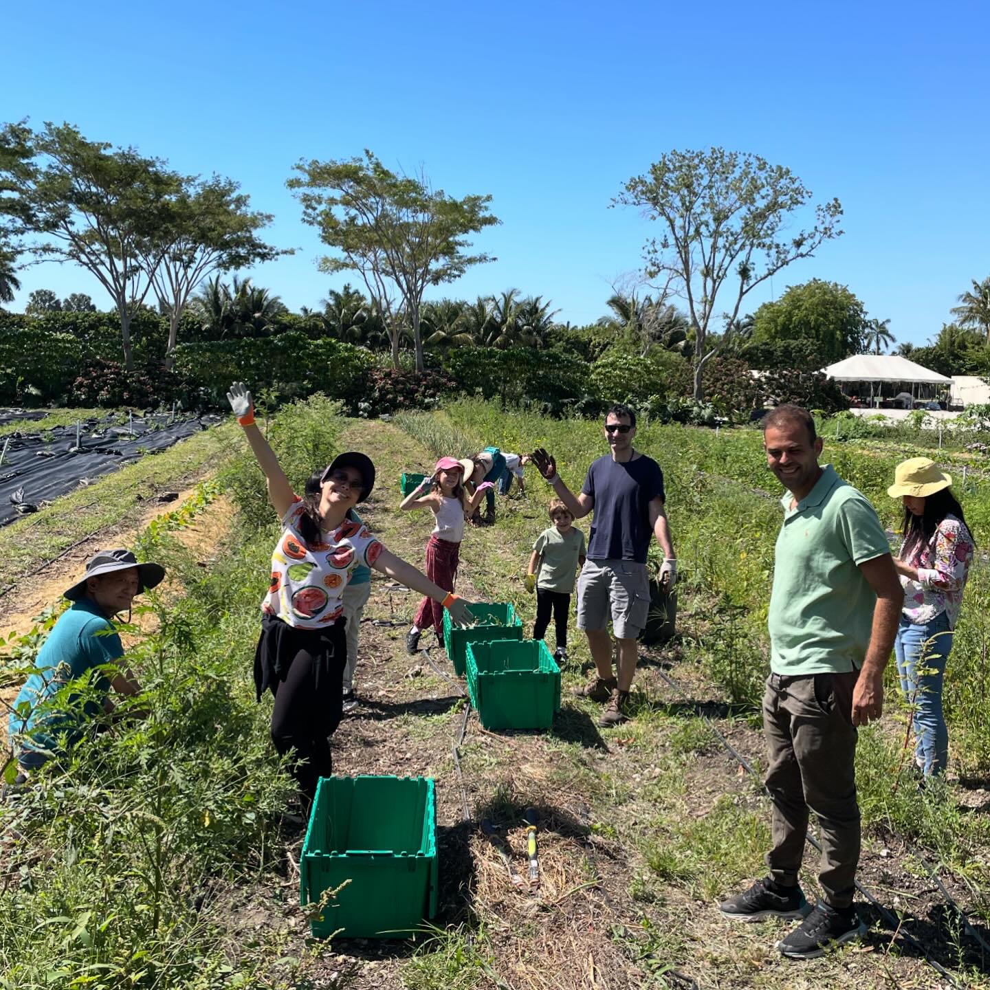 The month of April turned out to host one fantastic Family (and friends) Volunteer day. Thank you for an amazing, fun and fulfilling farm day!

Accomplished:

- Tomatoes harvested 40+lbs
- Cucumbers harvested 30lbs
- Onions harvested... 🧅 ...still n