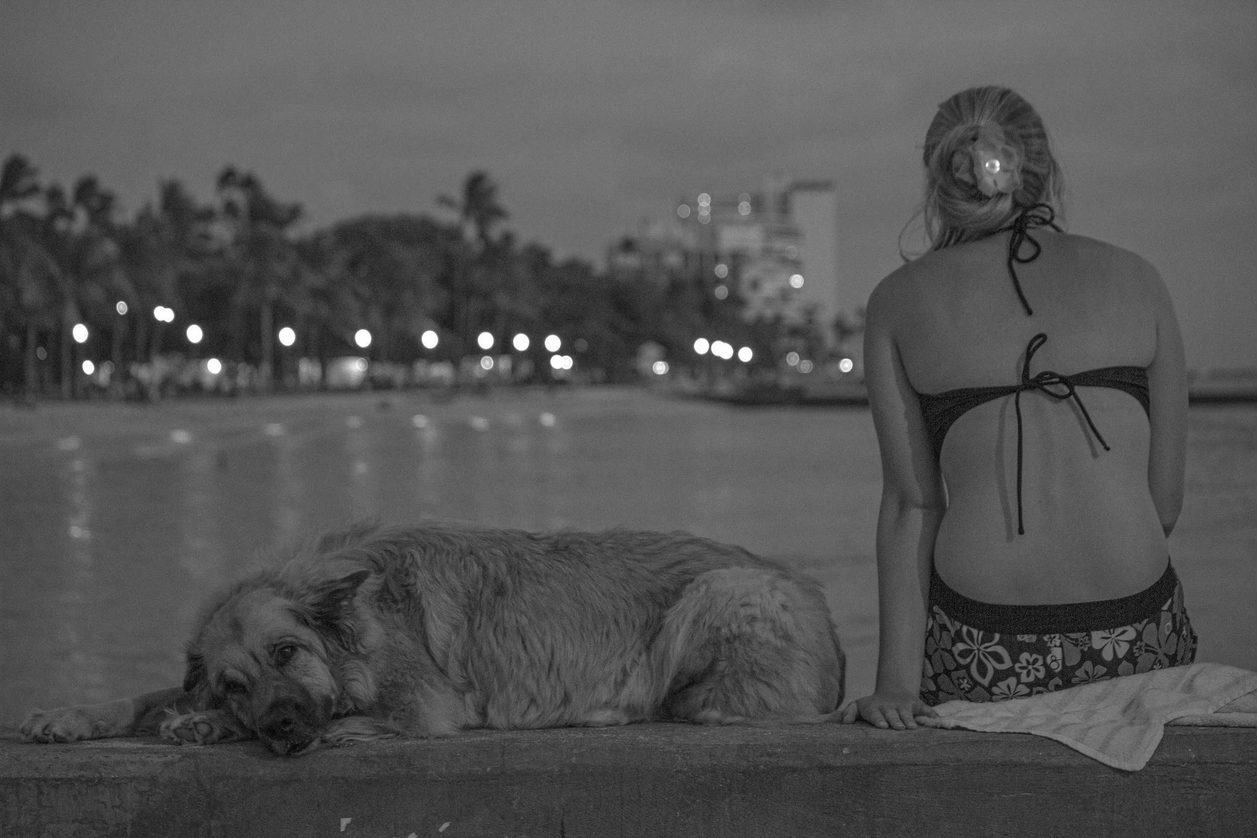 A woman in a bikini and a dog lying on a waterfront ledge at dusk or early evening, with city lights and palm trees in the background.