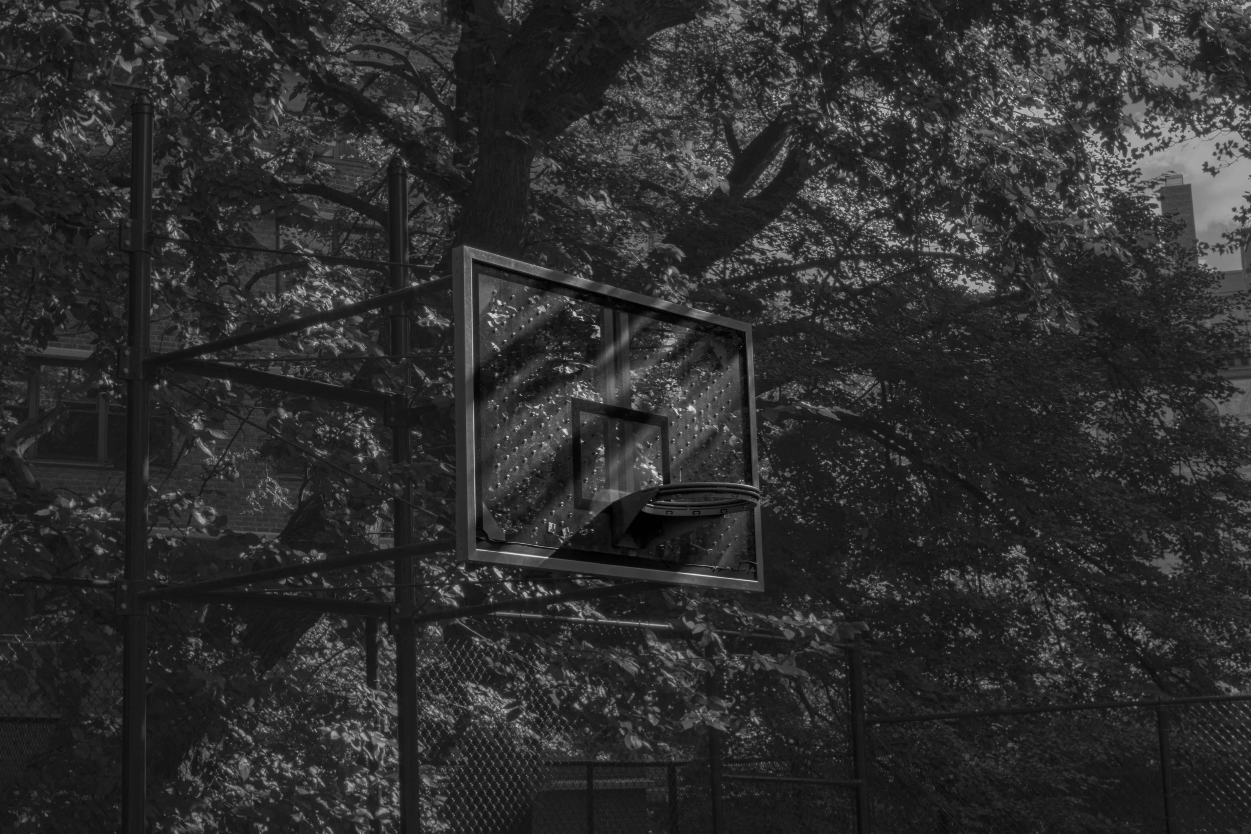 Empty basketball hoop on an outdoor court, with sunlight streaming through trees and casting shadows.