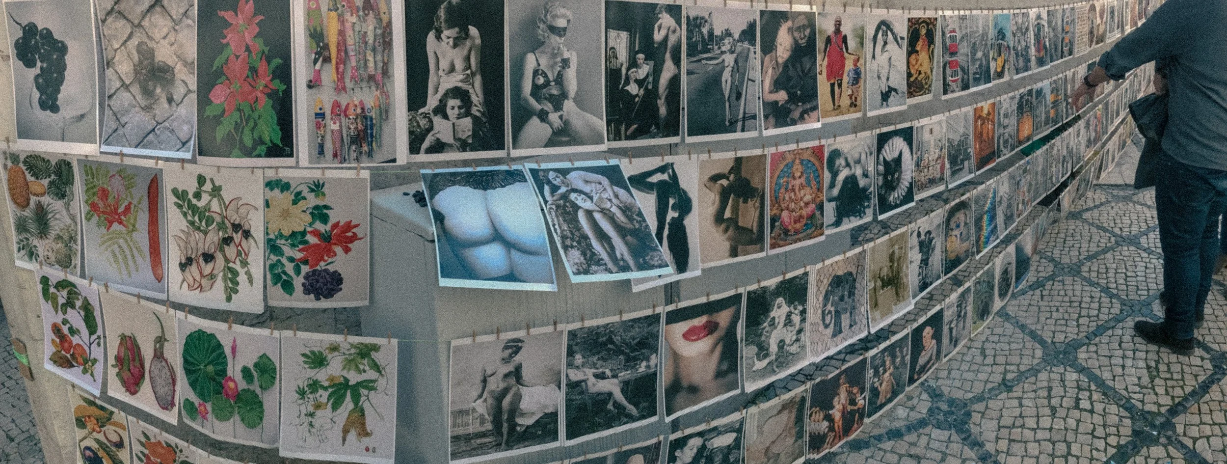 Outdoor art exhibit with multiple panels of artwork including photographs, illustrations, and paintings, displayed on curved wires, with people viewing the art.