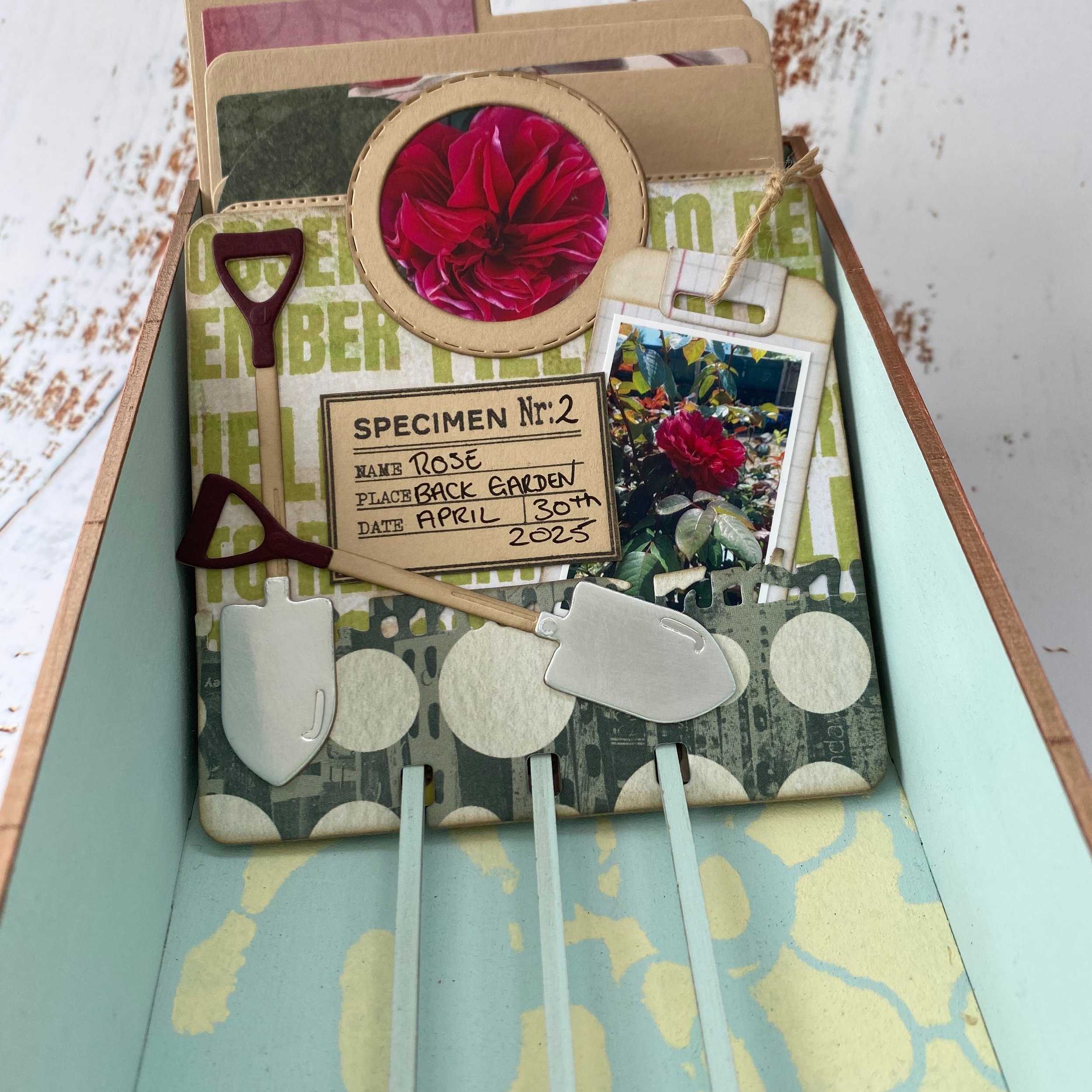 05-05-25 Julia Watts 17(2).jpeg