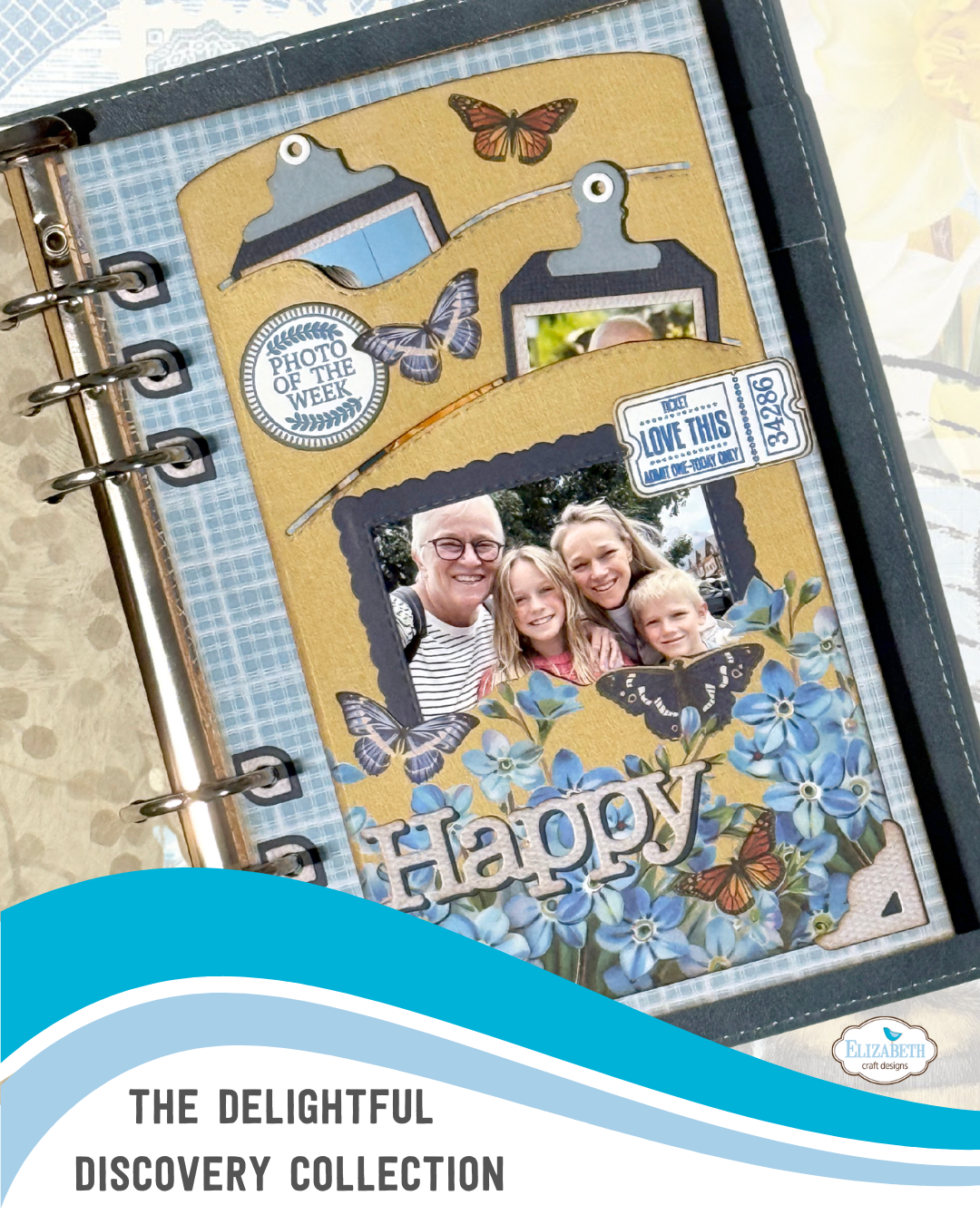 The Delightful Discovery collection!