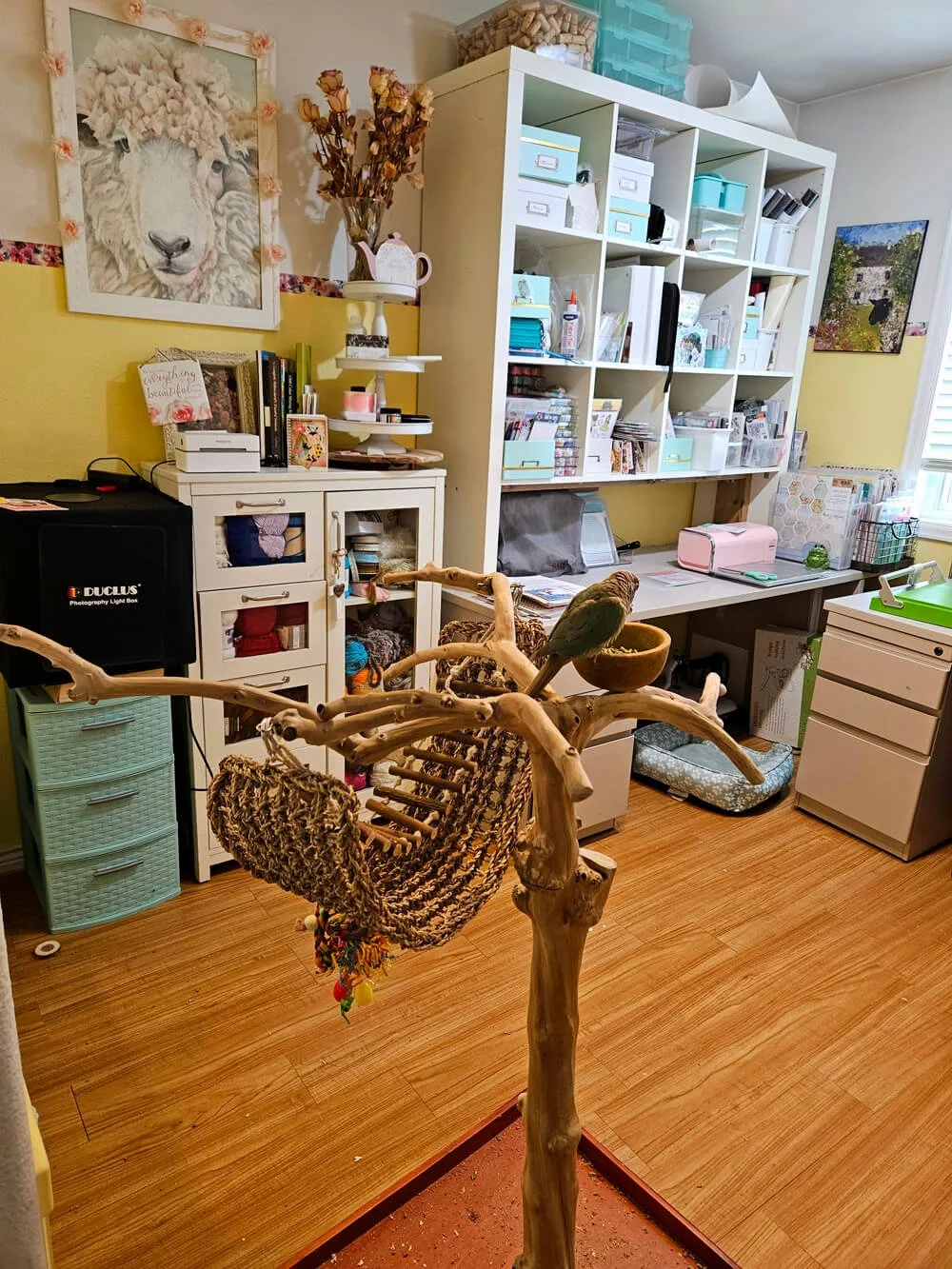 Meet the Design Team