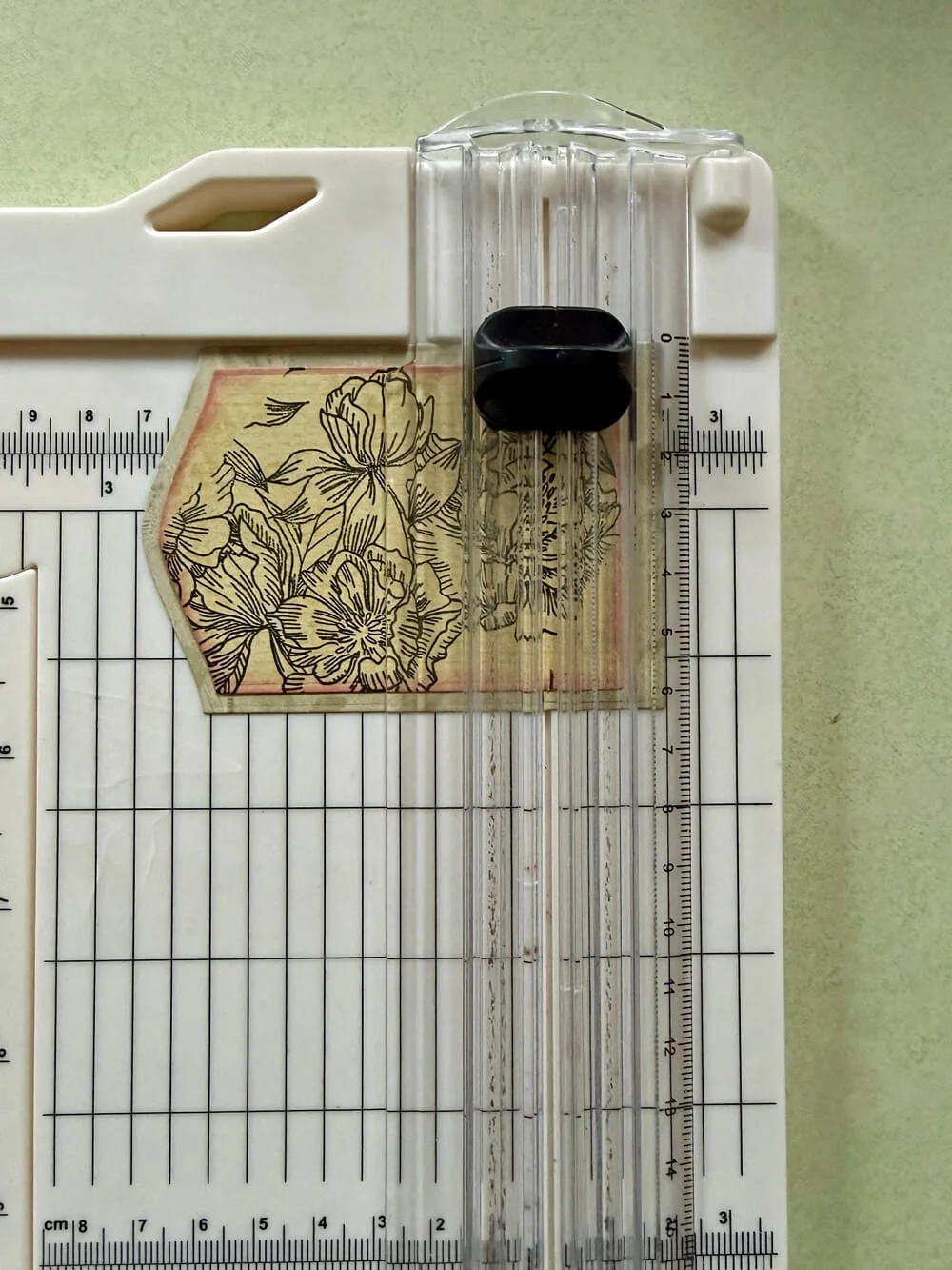 02-14-2026 Ellen 3a.jpg