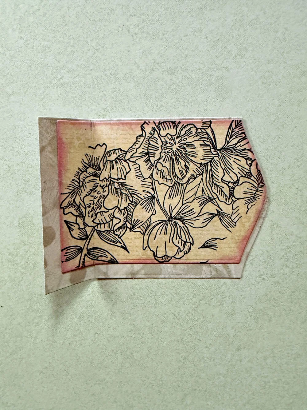 02-14-2026 Ellen 3b.jpg