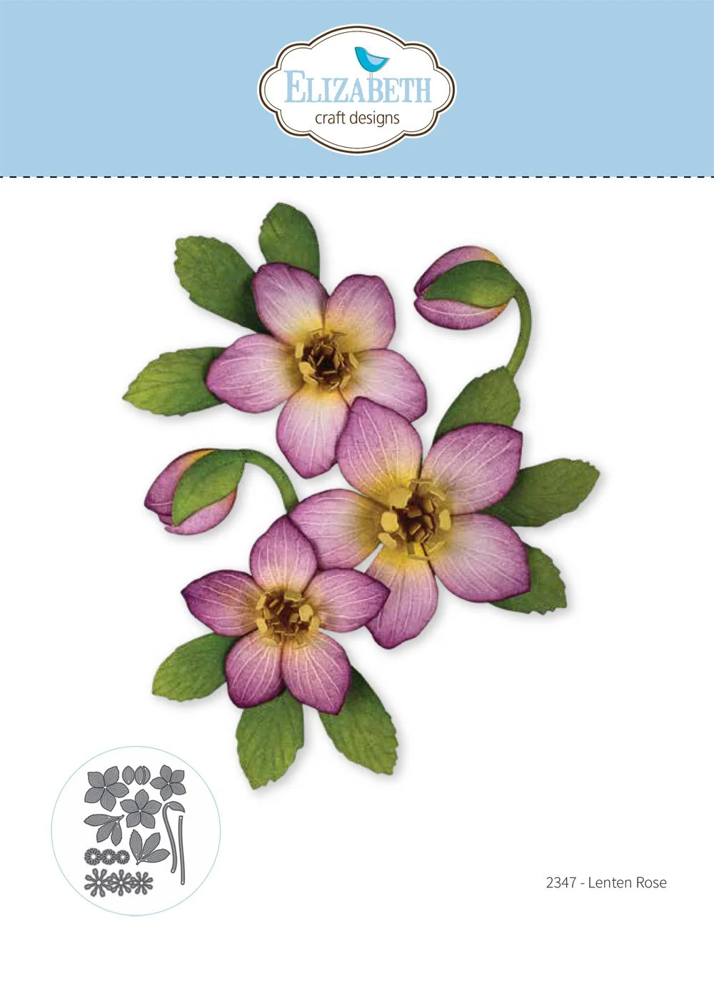 2347 - Lenten Rose PACK.jpg