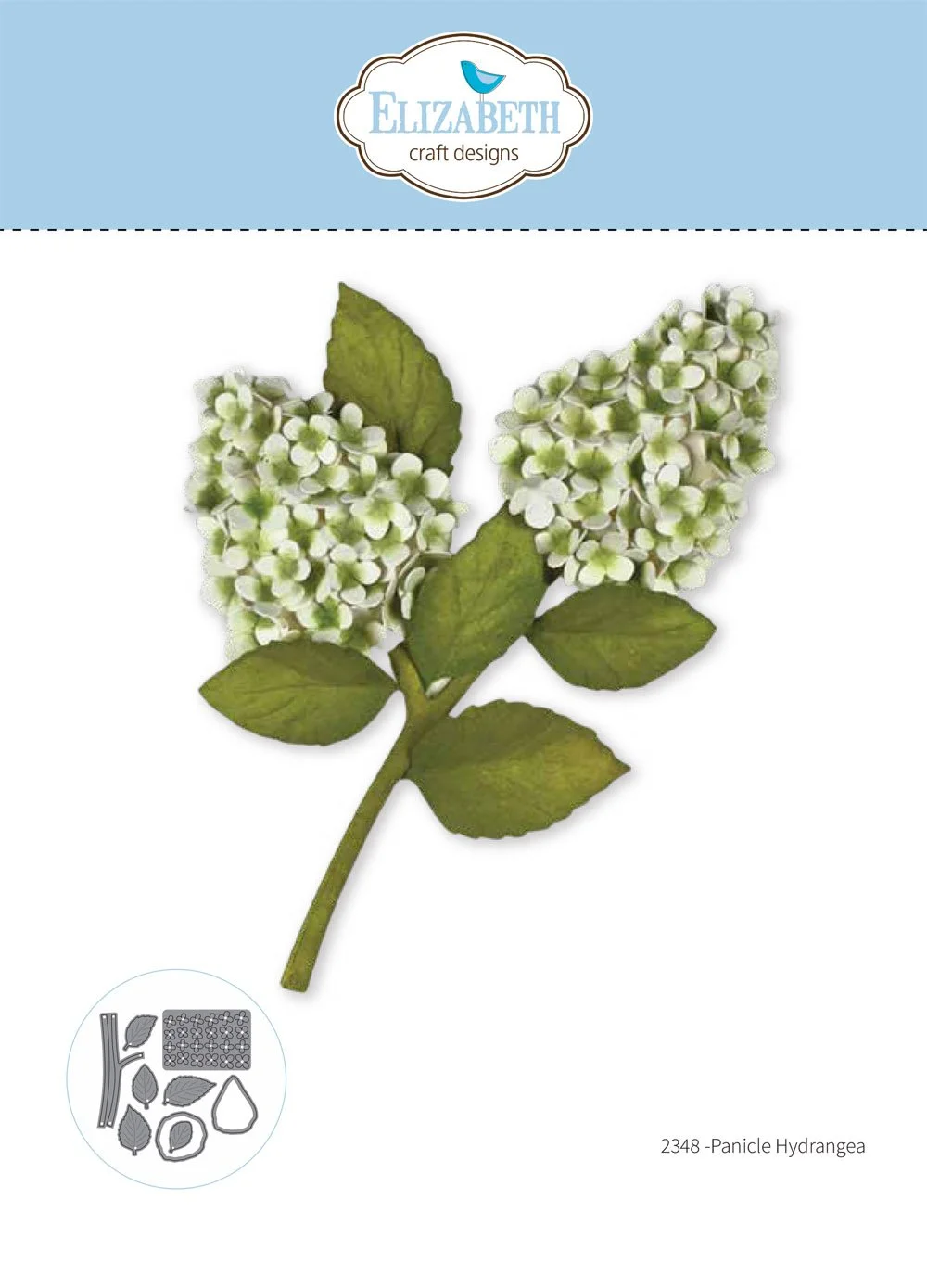 2348 - Panicle Hydrangea PACK.jpg