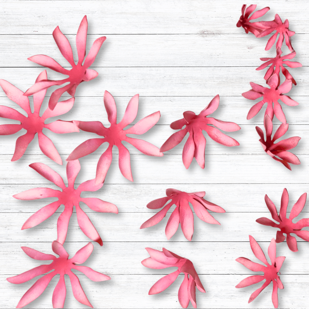 Untitled design (5).png