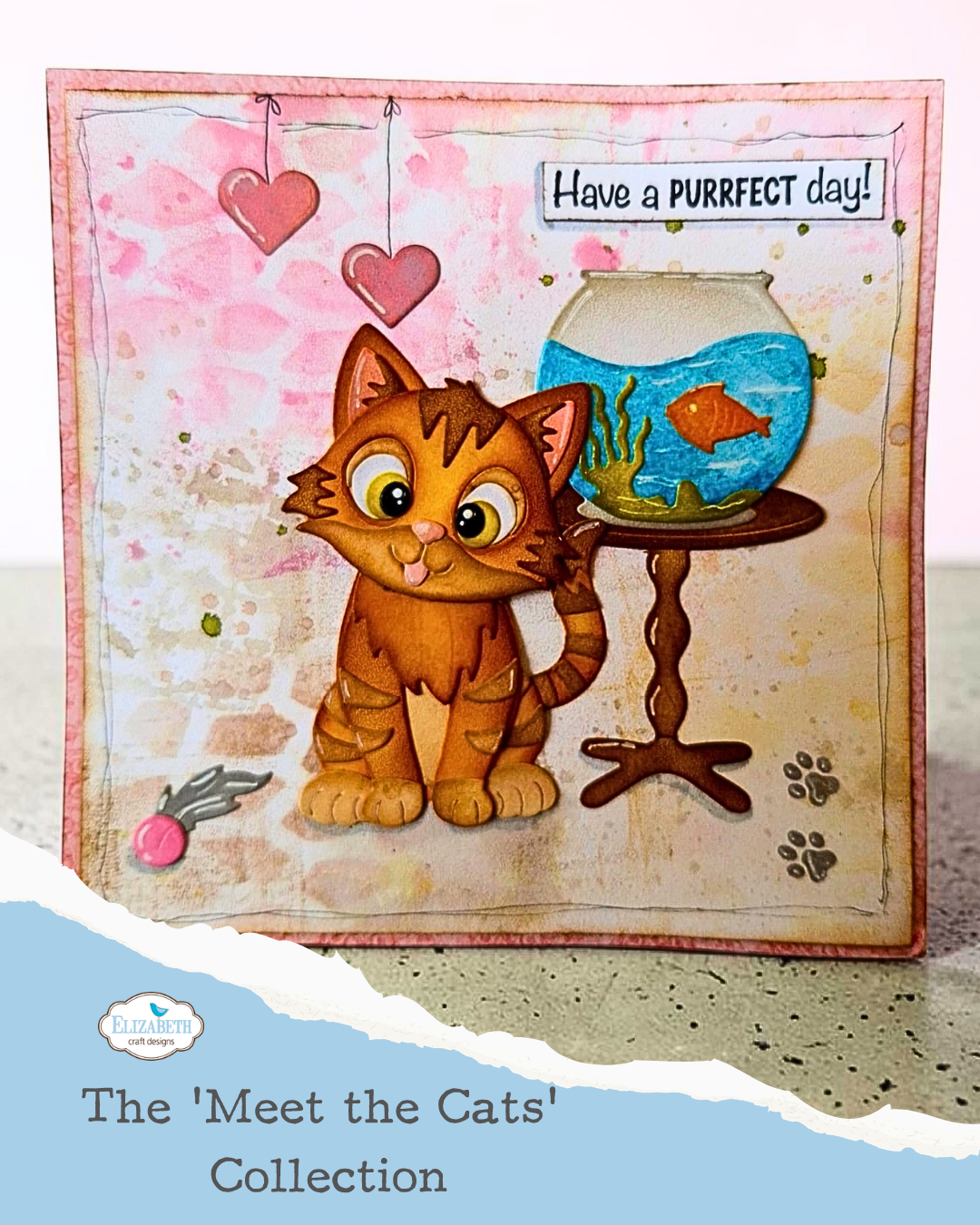 The ‘Meet the Cats’ Collection 