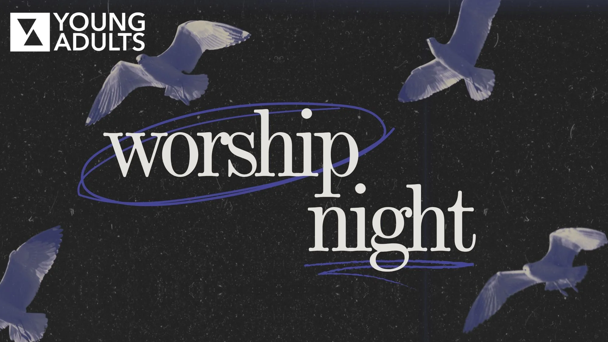 Dark background with flying white doves and text that reads "Young Adults Worship Night."