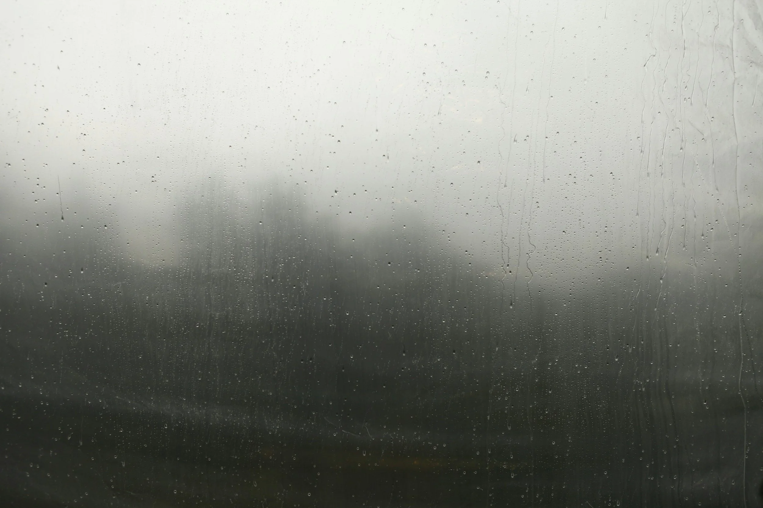 Why Is My Window Fogging Up Between the Panes?&nbsp;