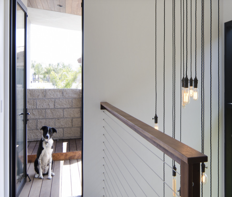 A dog sitting on a wooden deck outside near a sliding glass door in a modern home interior.