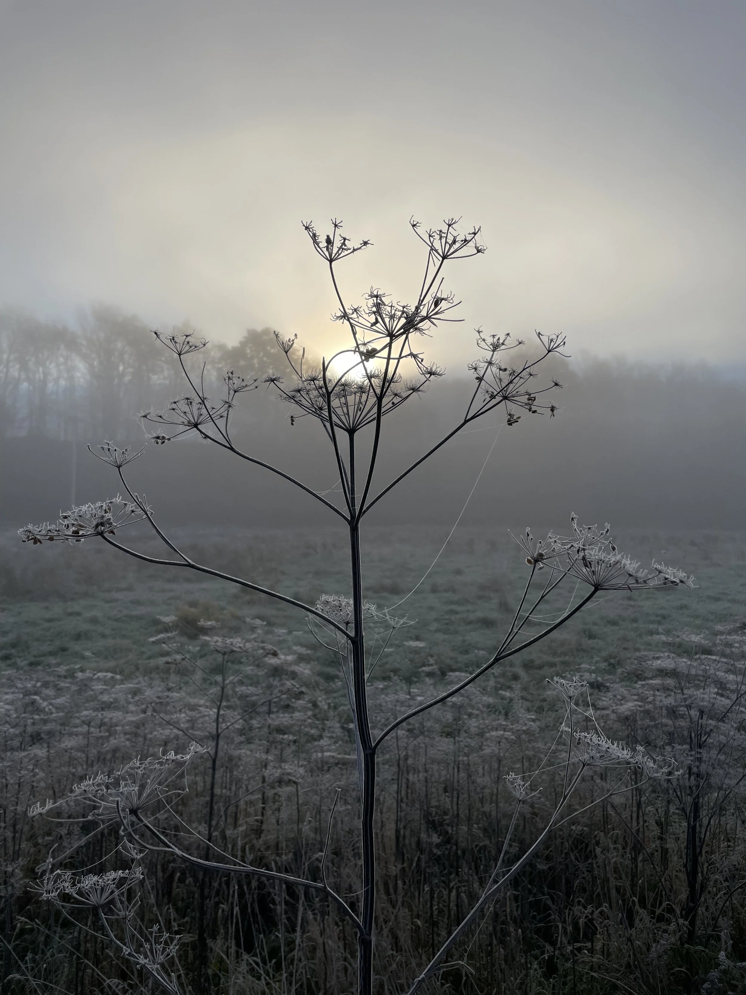 Sunday Evening Meditation