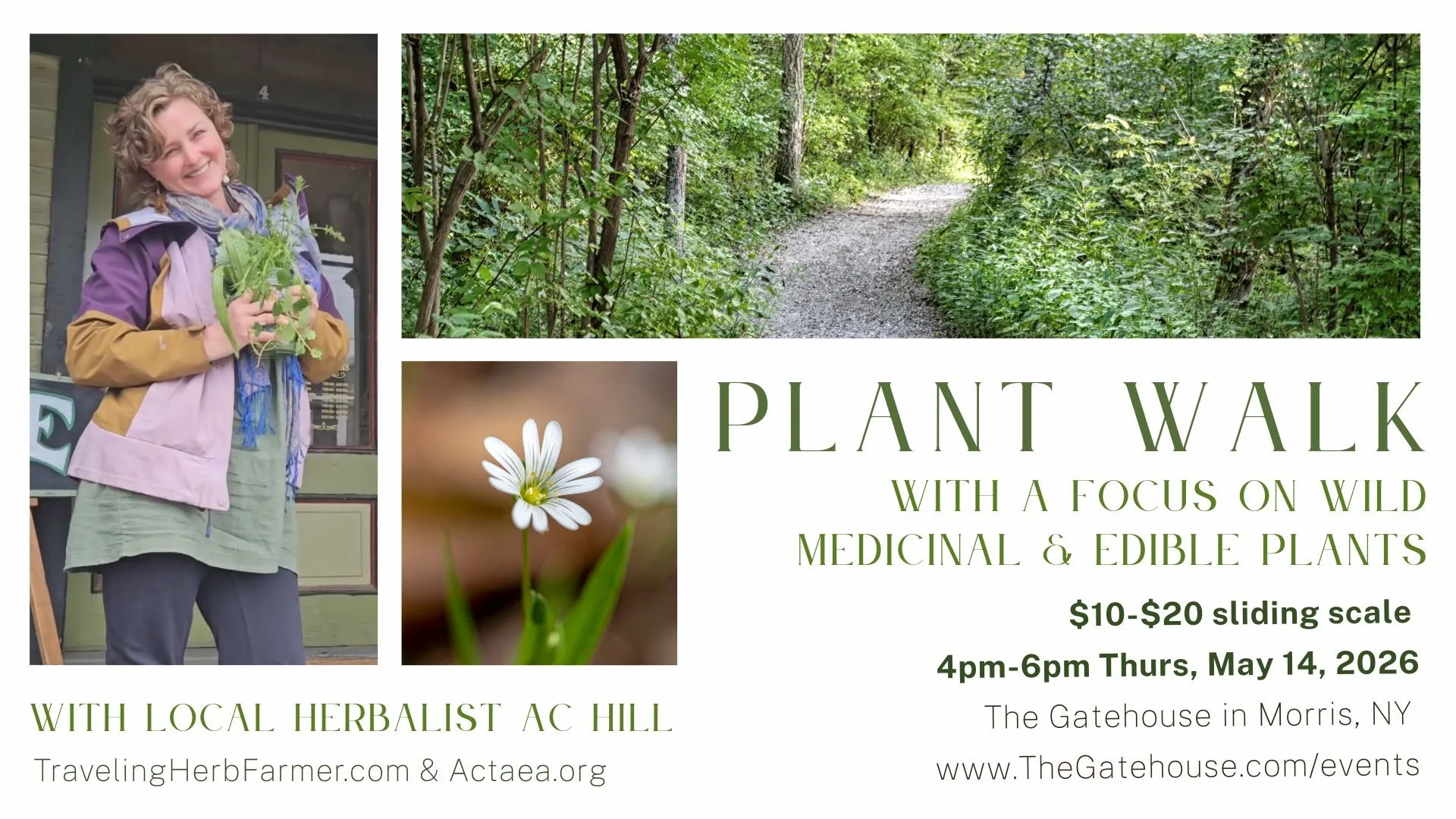 Spring Plant Walk with AC Hill