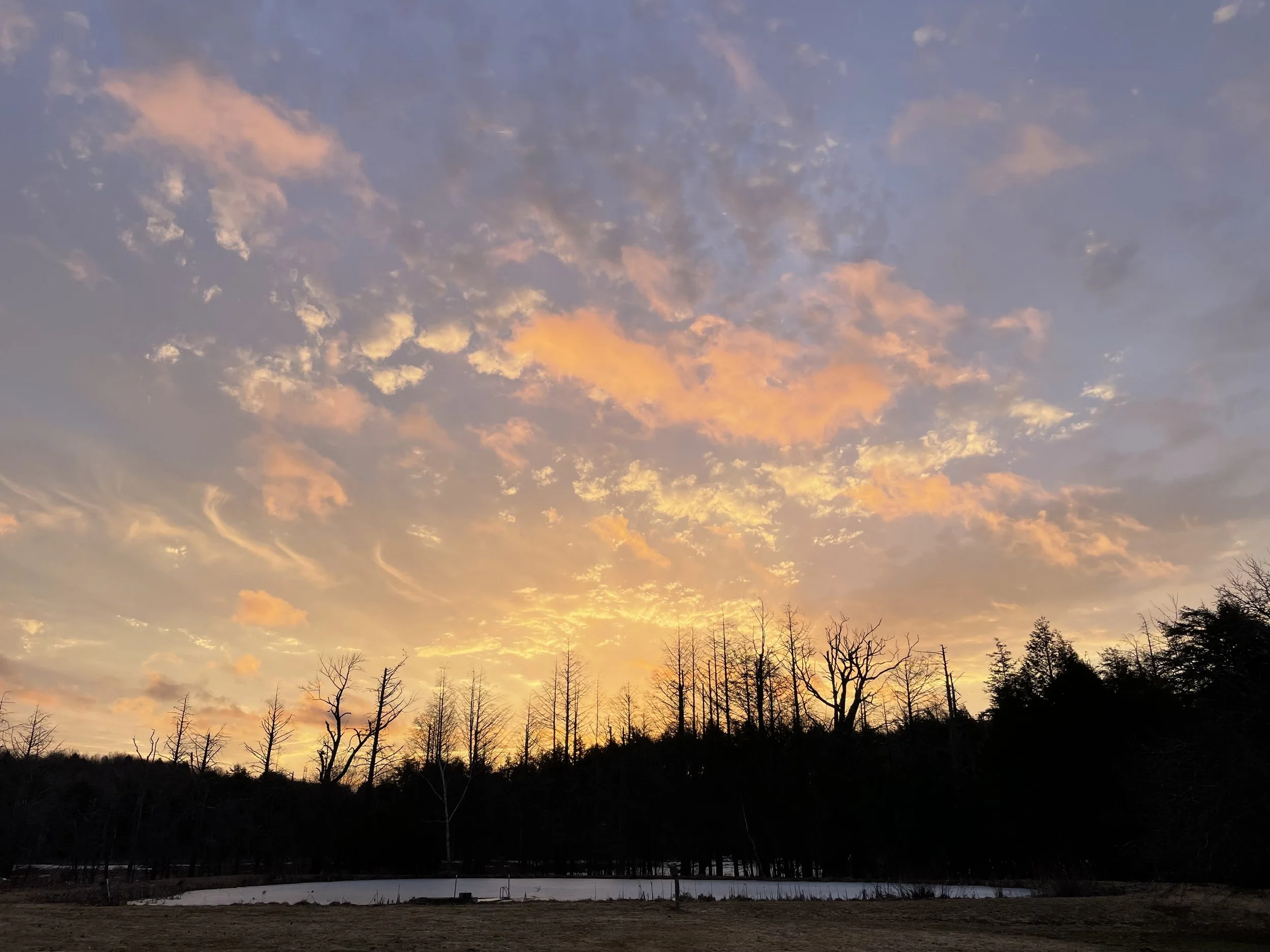 Butternut Valley: Photographs by Jenny Riffle