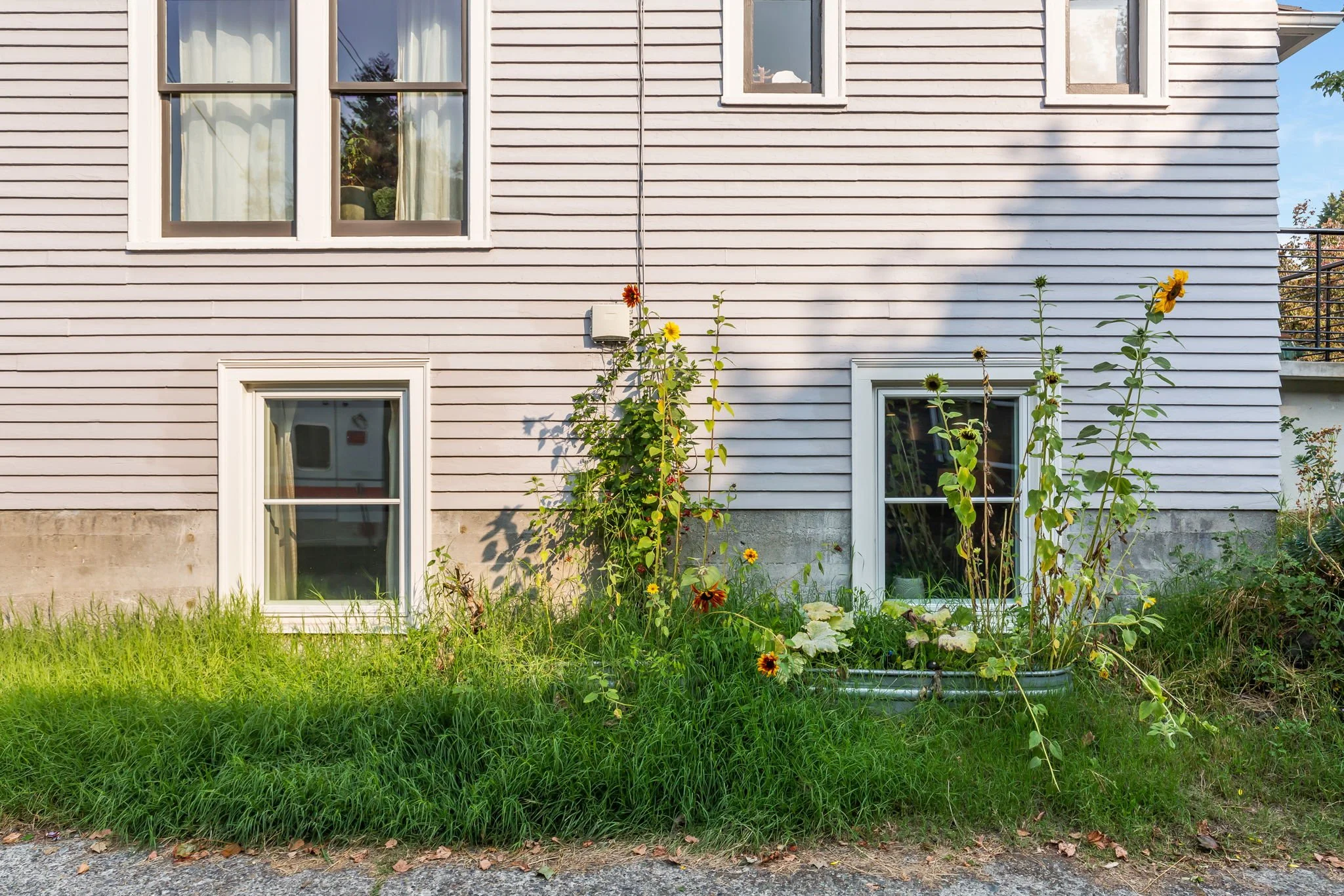 Brightsky-Aloha-exterior 04-low.jpg