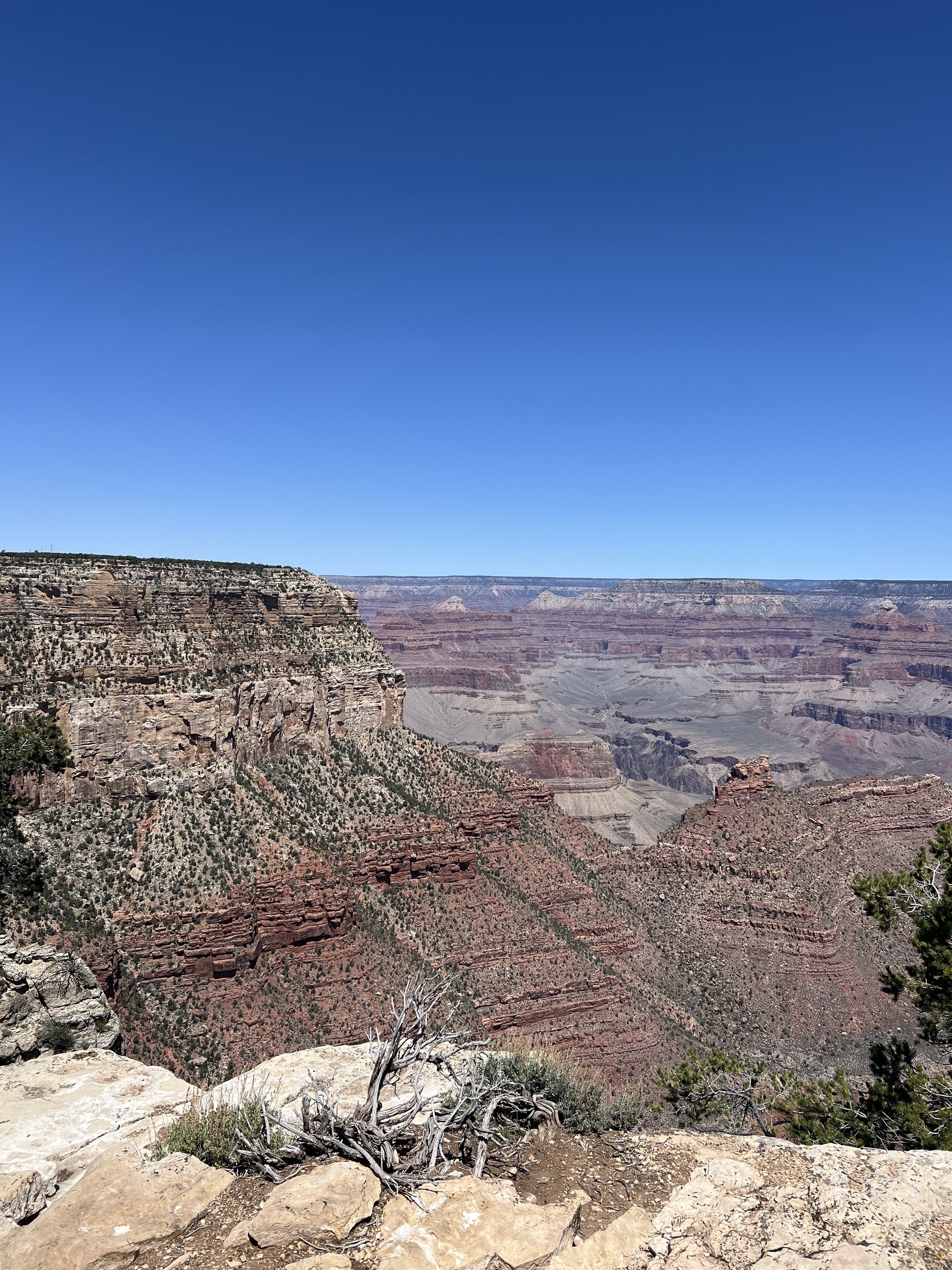 IMG_0291.jpg