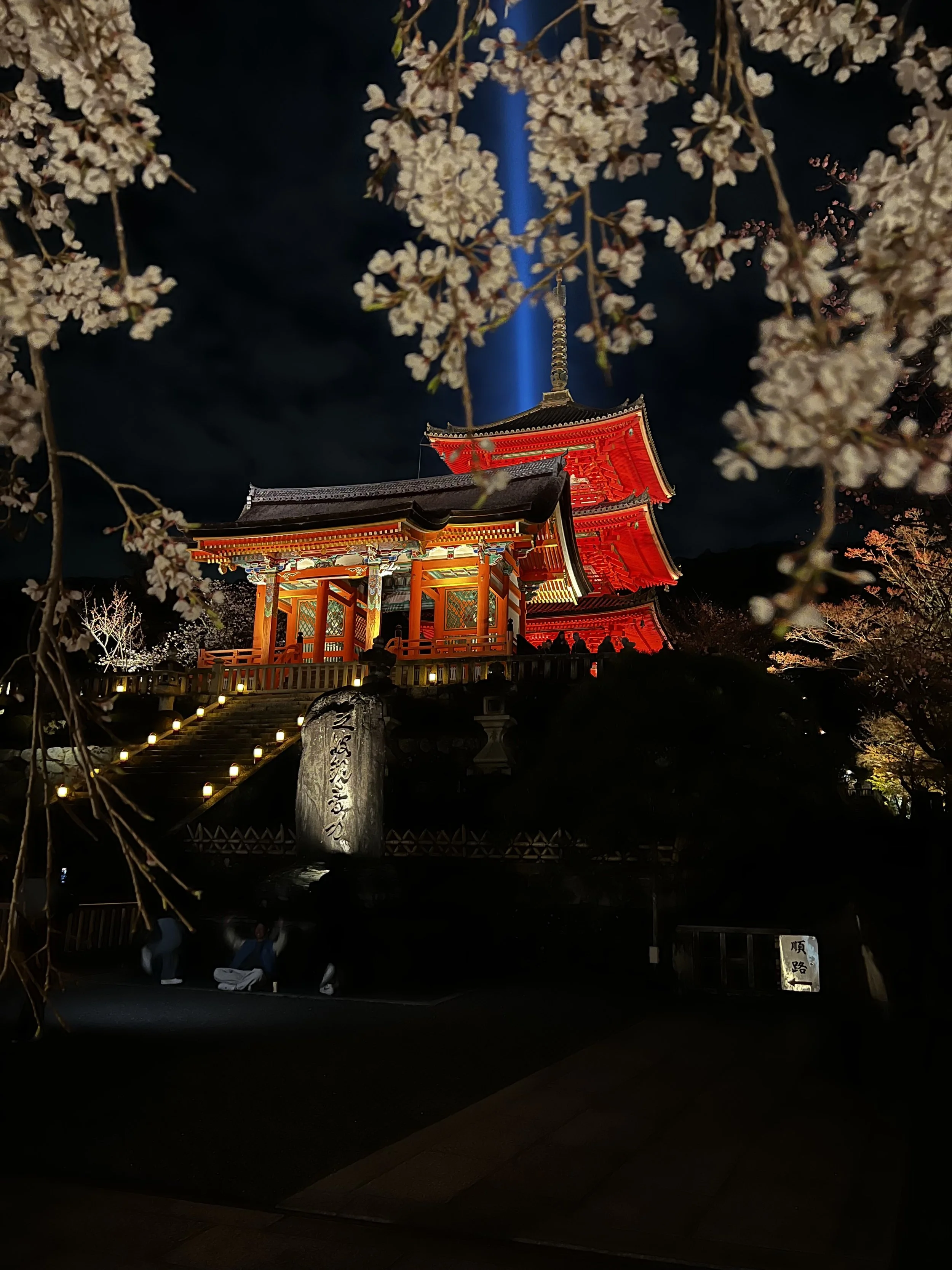 Best Things to Do and See in Kyoto, Japan