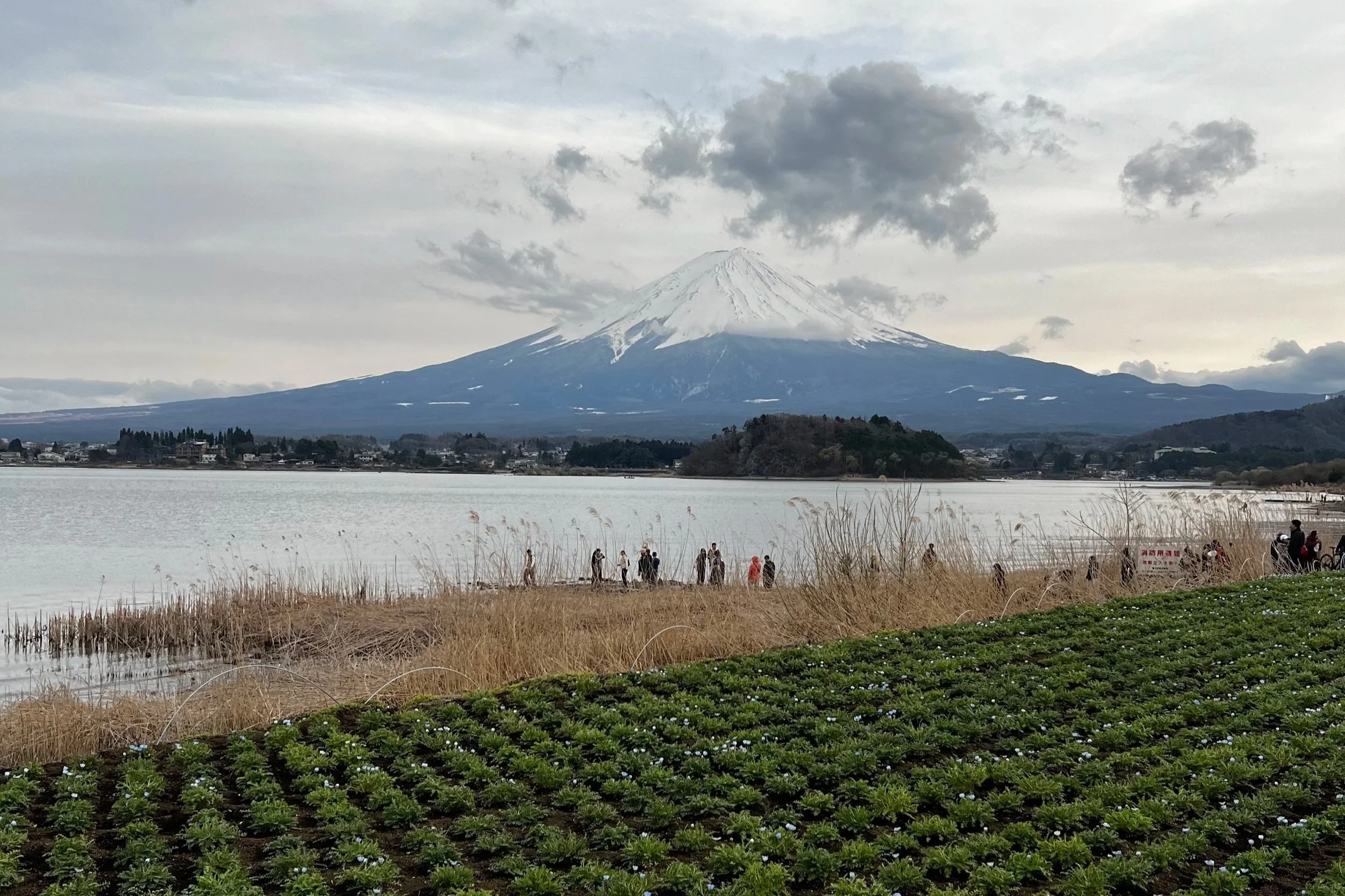 Should You Stay Overnight at Mount Fuji? 