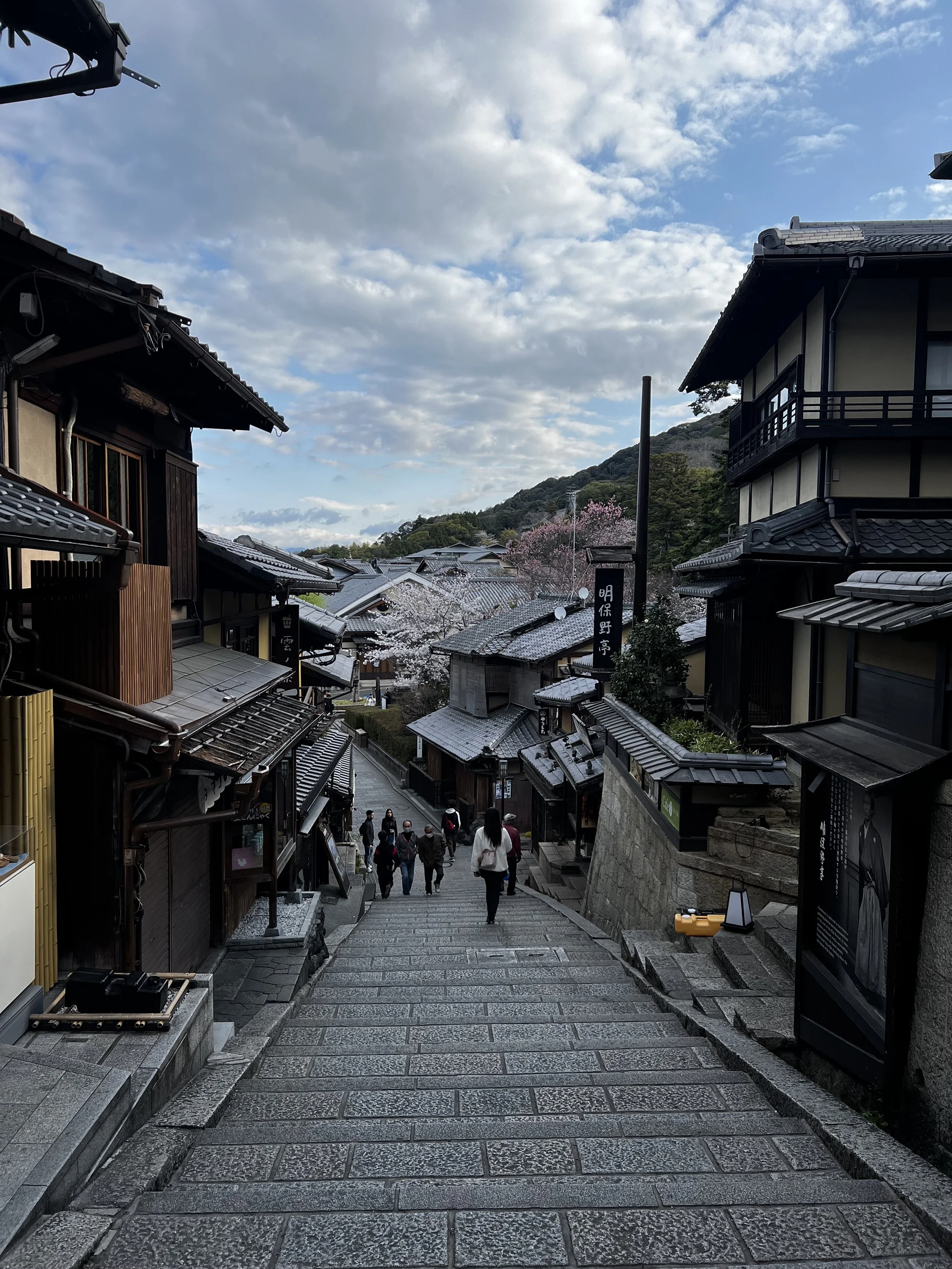 First-Timer’s Guide to Japan