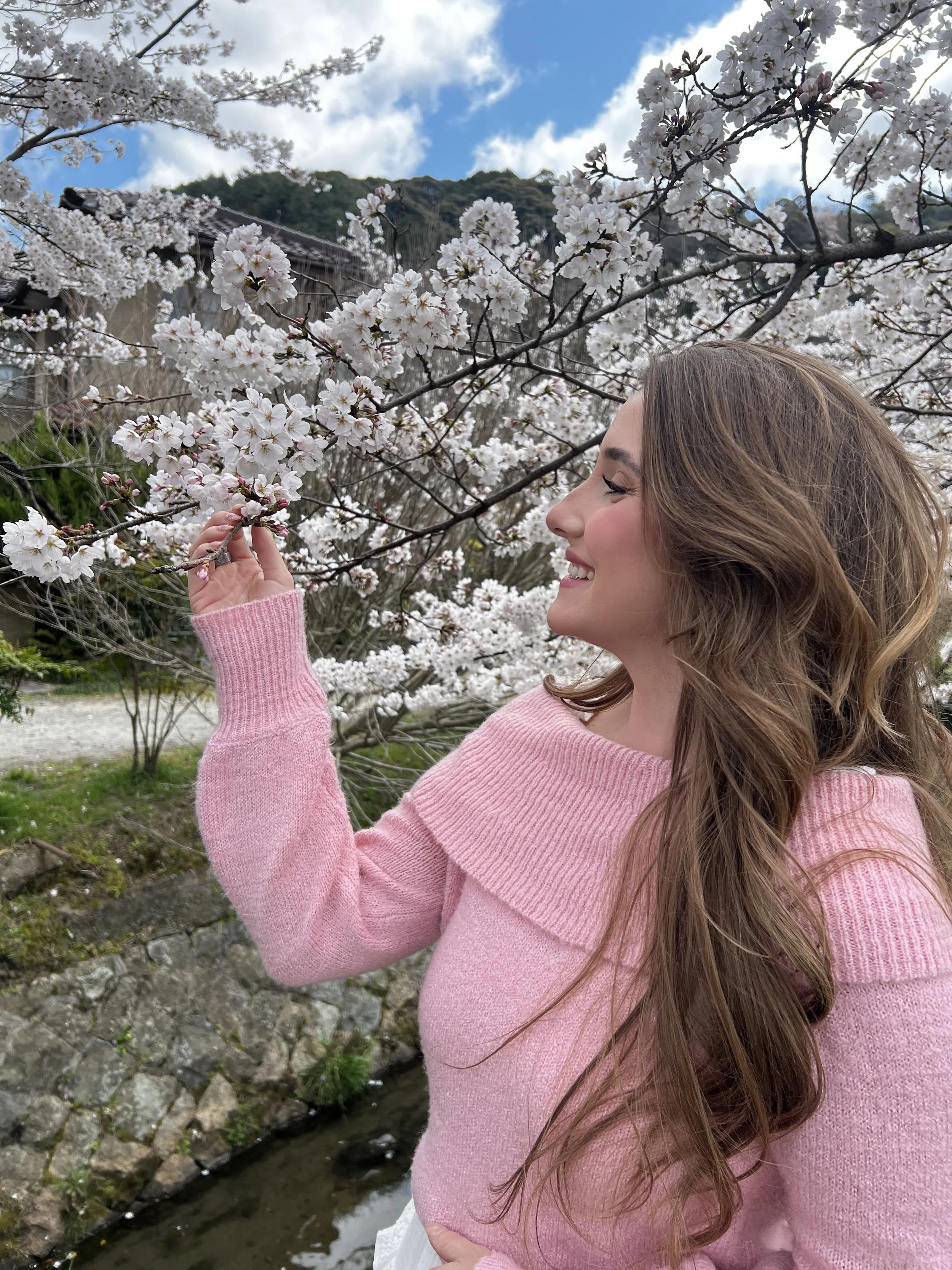 Japan Cherry Blossom Guide