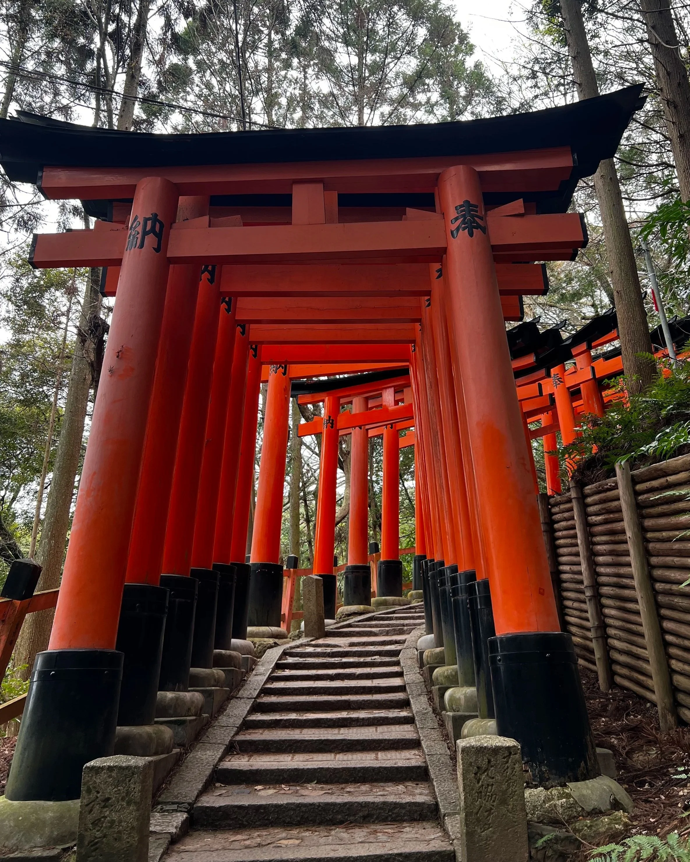 Fushimi Inari