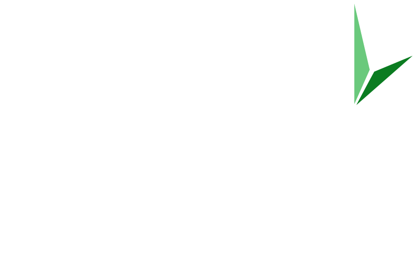Veridian Strategic Partners