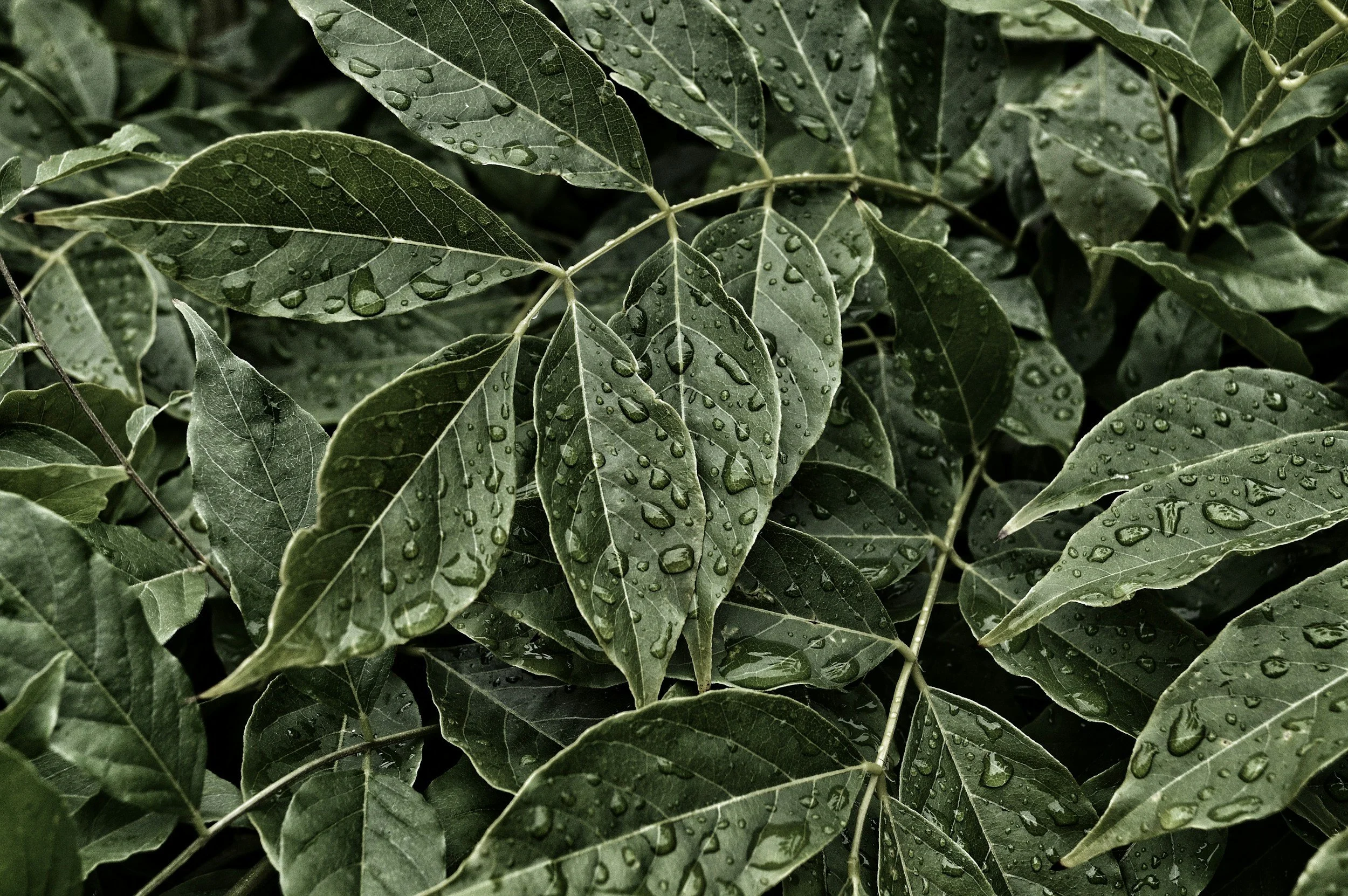 unsplash-image-KamSS2euCzA.jpg