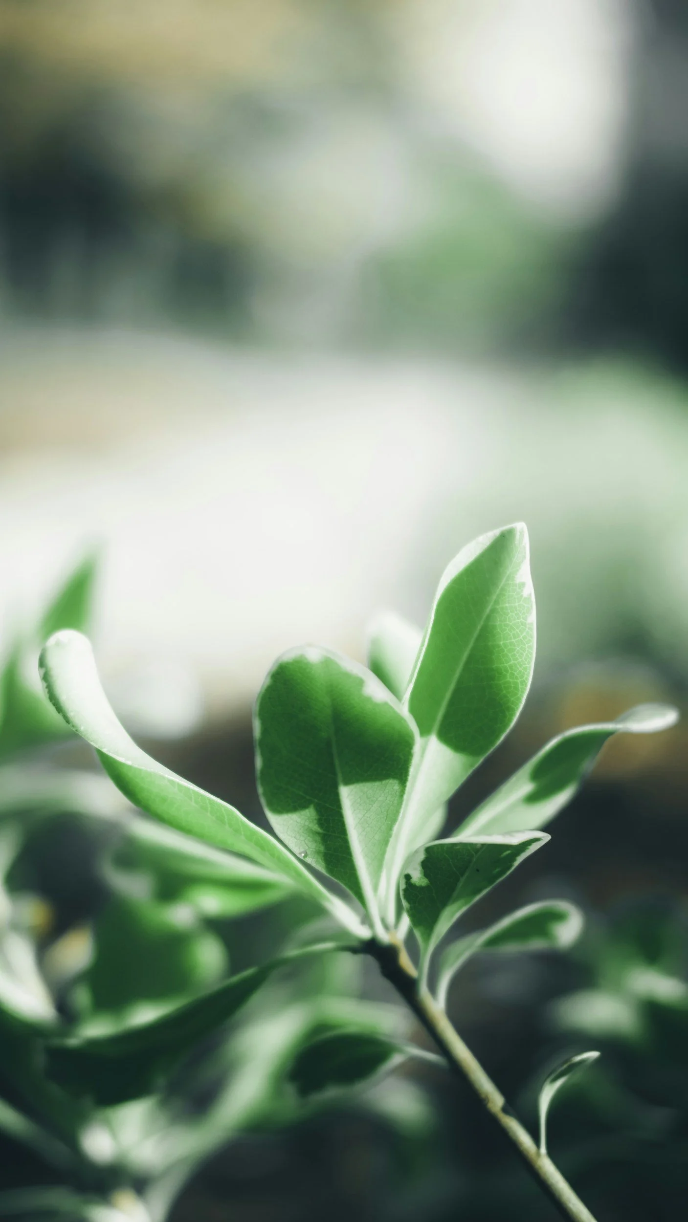 unsplash-image-zMzwXz7FsKs.jpg