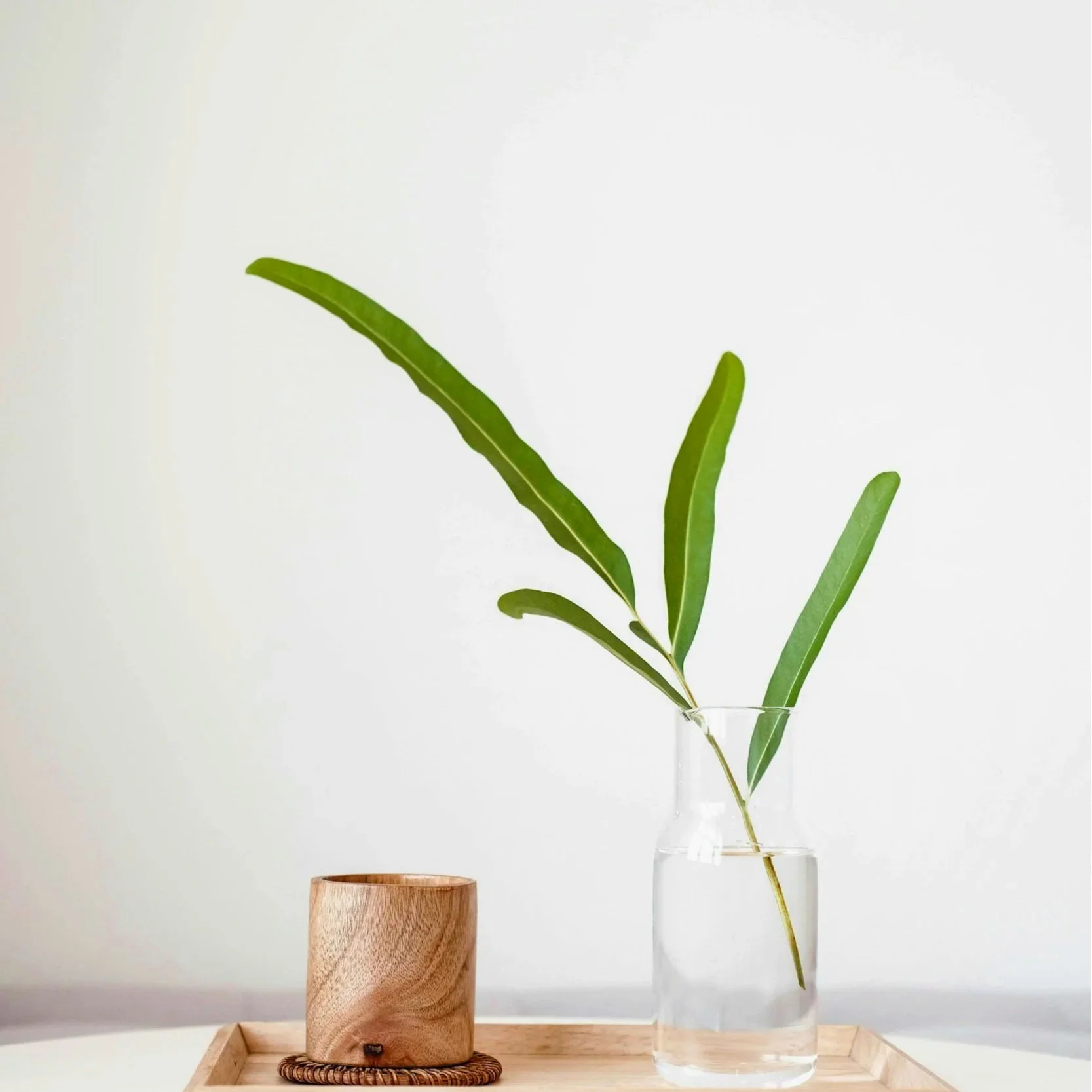 Case Study #1: Sabbath by Design