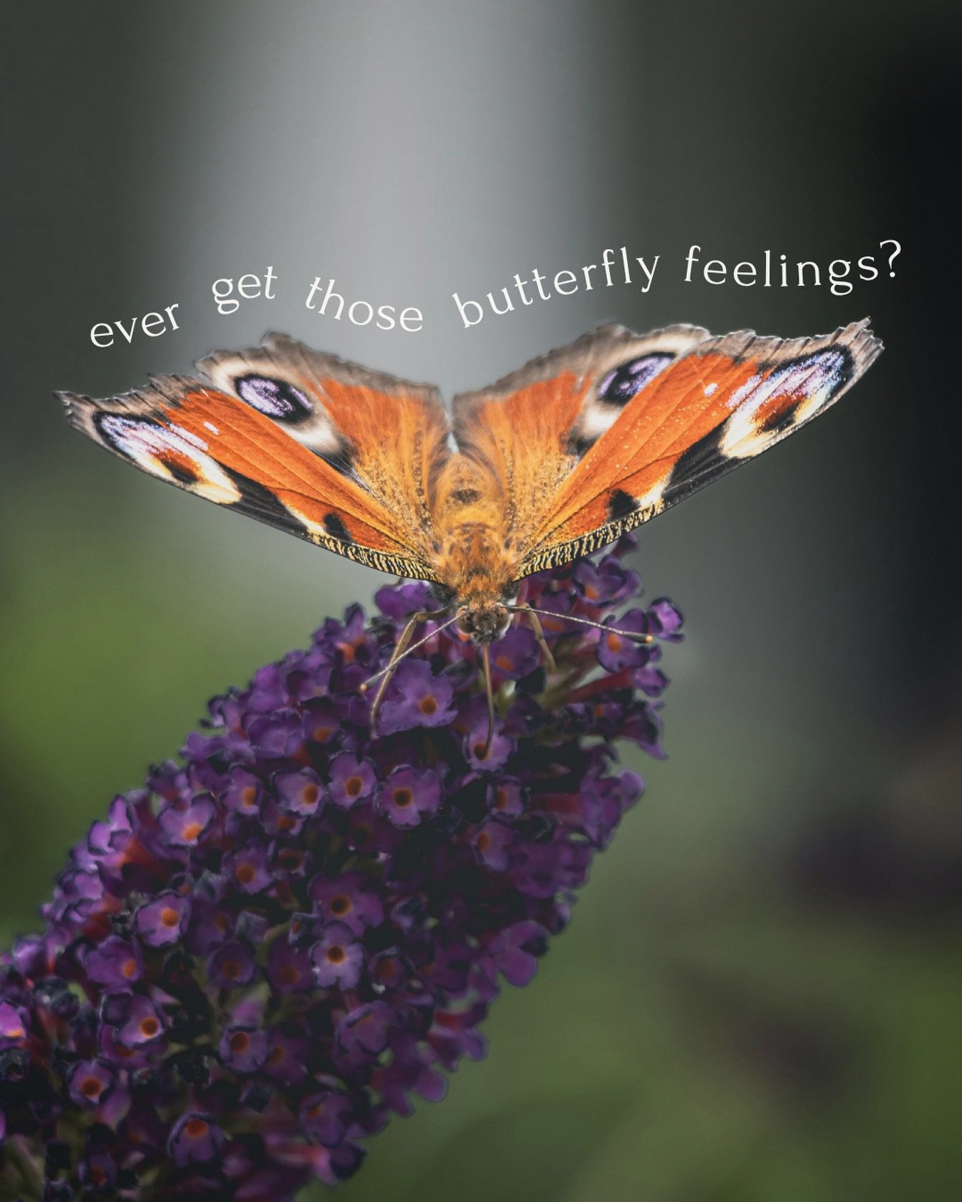 ever get those 🦋 feelings? 

as a nutrition coach, I think about this all the time - because did you know that those &ldquo;gut feelings&rdquo; are actually backed by science!

your gut &amp; brain are constantly communicating via the gut-brain axis