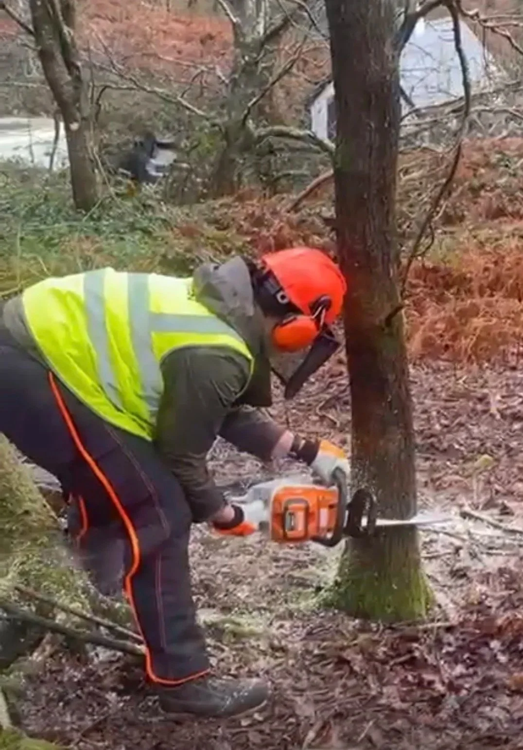 Beyond Pink Cupcakes: What International Women’s Day Should Really Ask Us