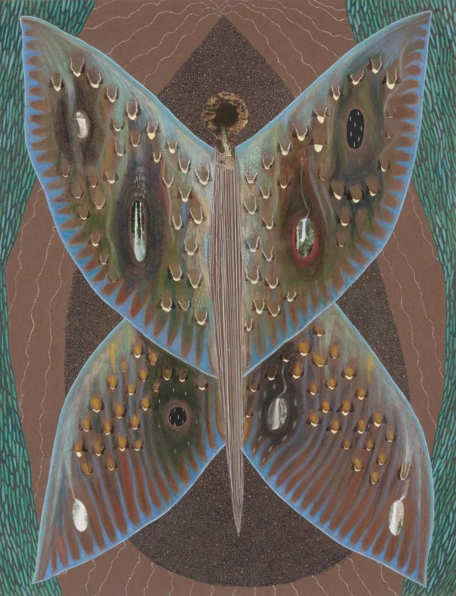  Memory Moth 25.5 x 19.5”  2015 