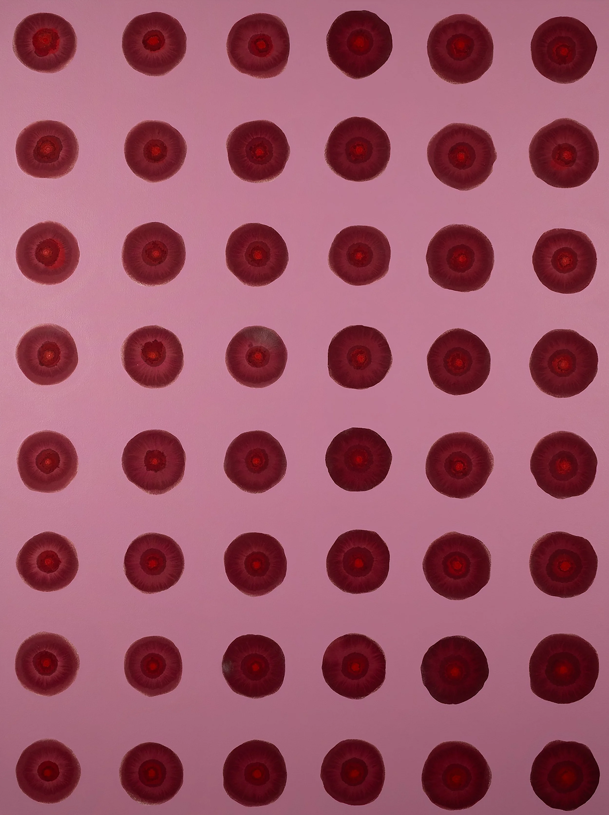Multiple red circular objects arranged in a grid pattern on a pink background.