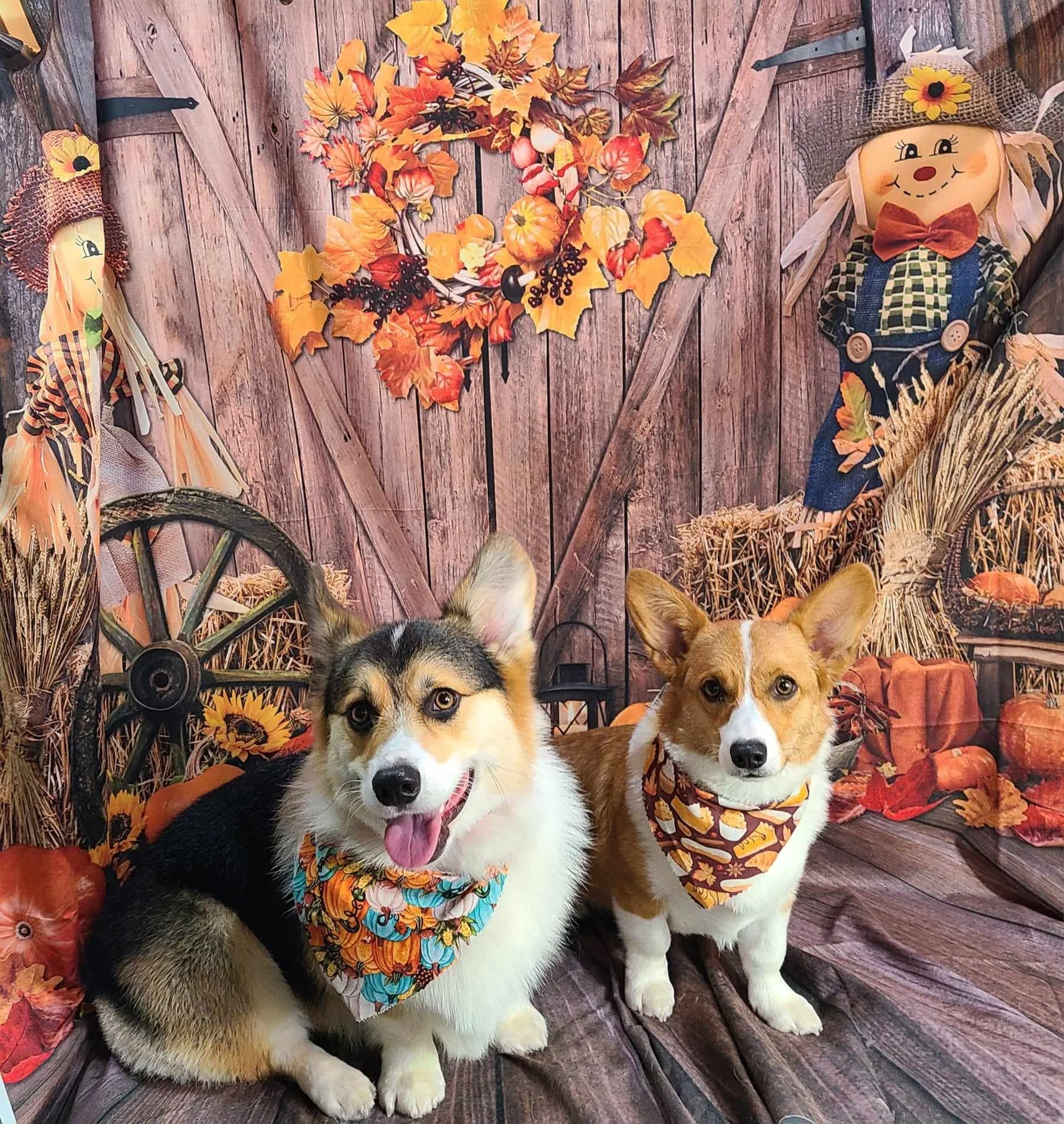 BernieRip fall blog1.jpg